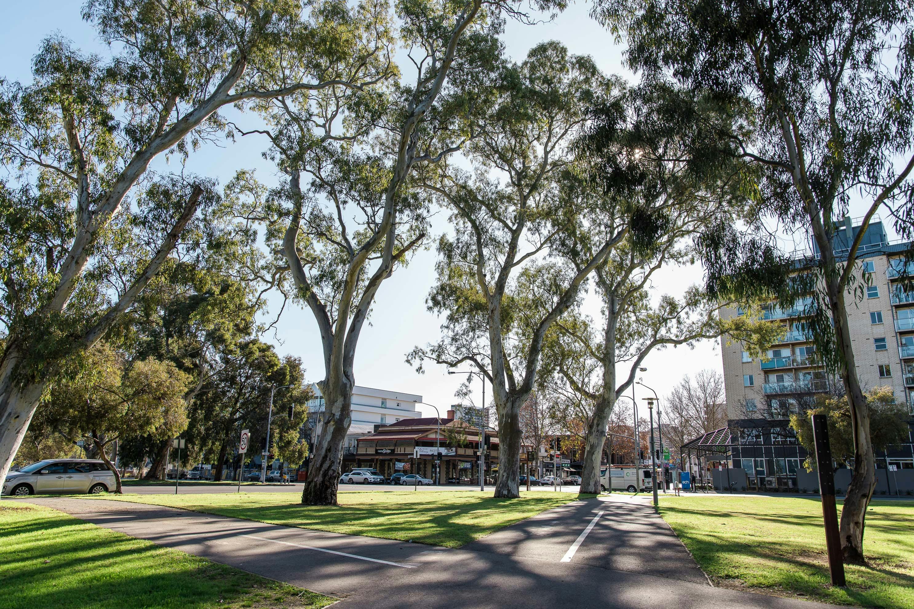 Pelzer Park/Pityarilla