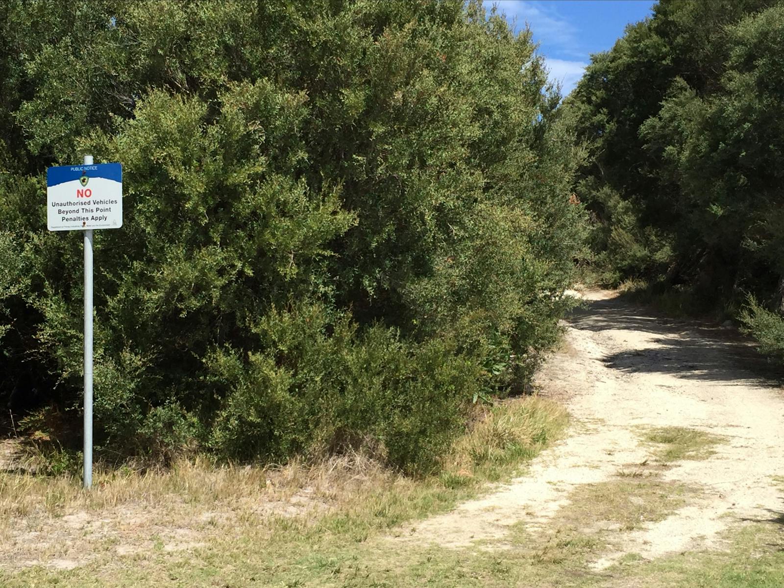 The Bluff Track walks in Whitemark Flinders Island Tasmania