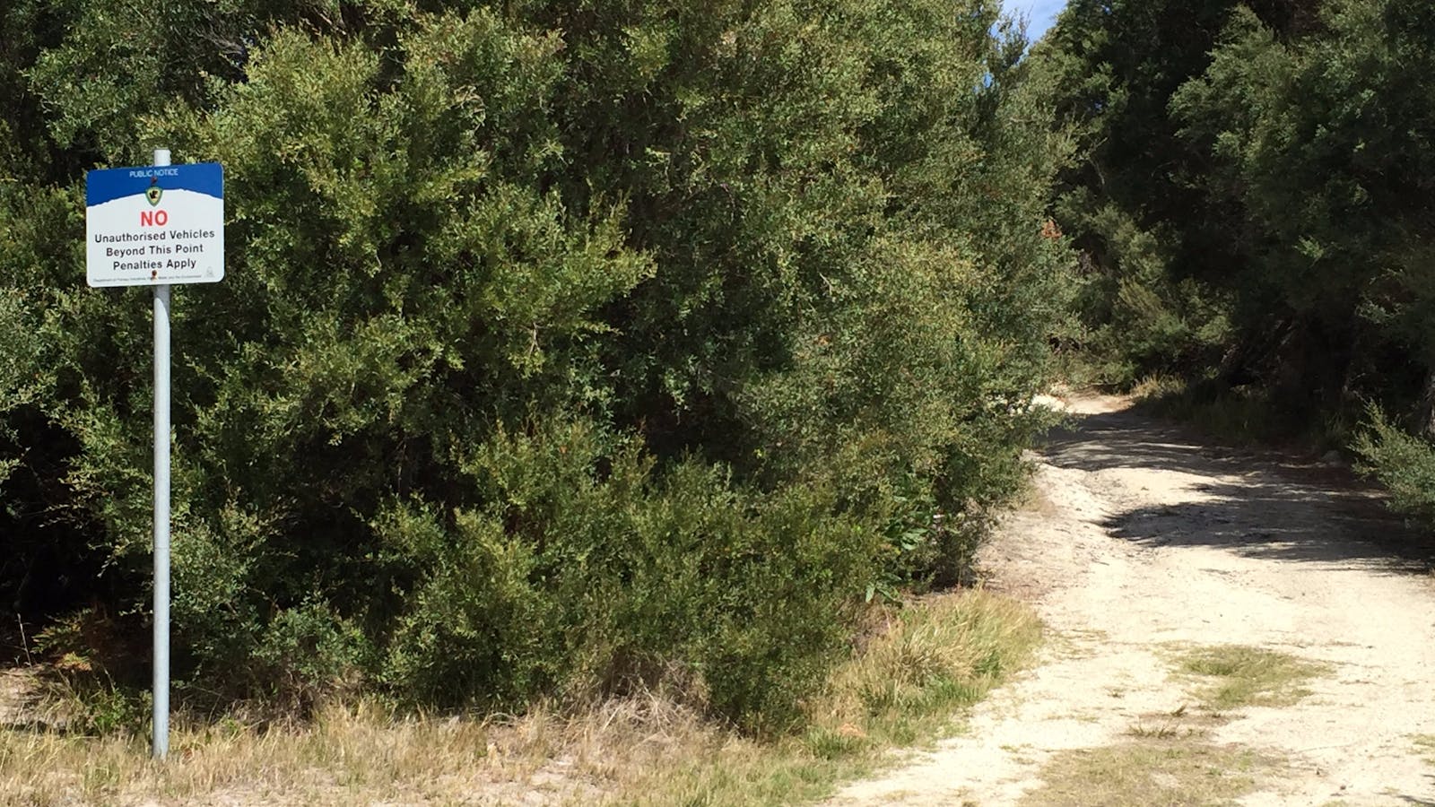 Bluff Track Fitness Trail