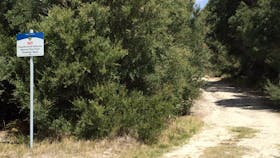 Bluff Track Fitness Trail