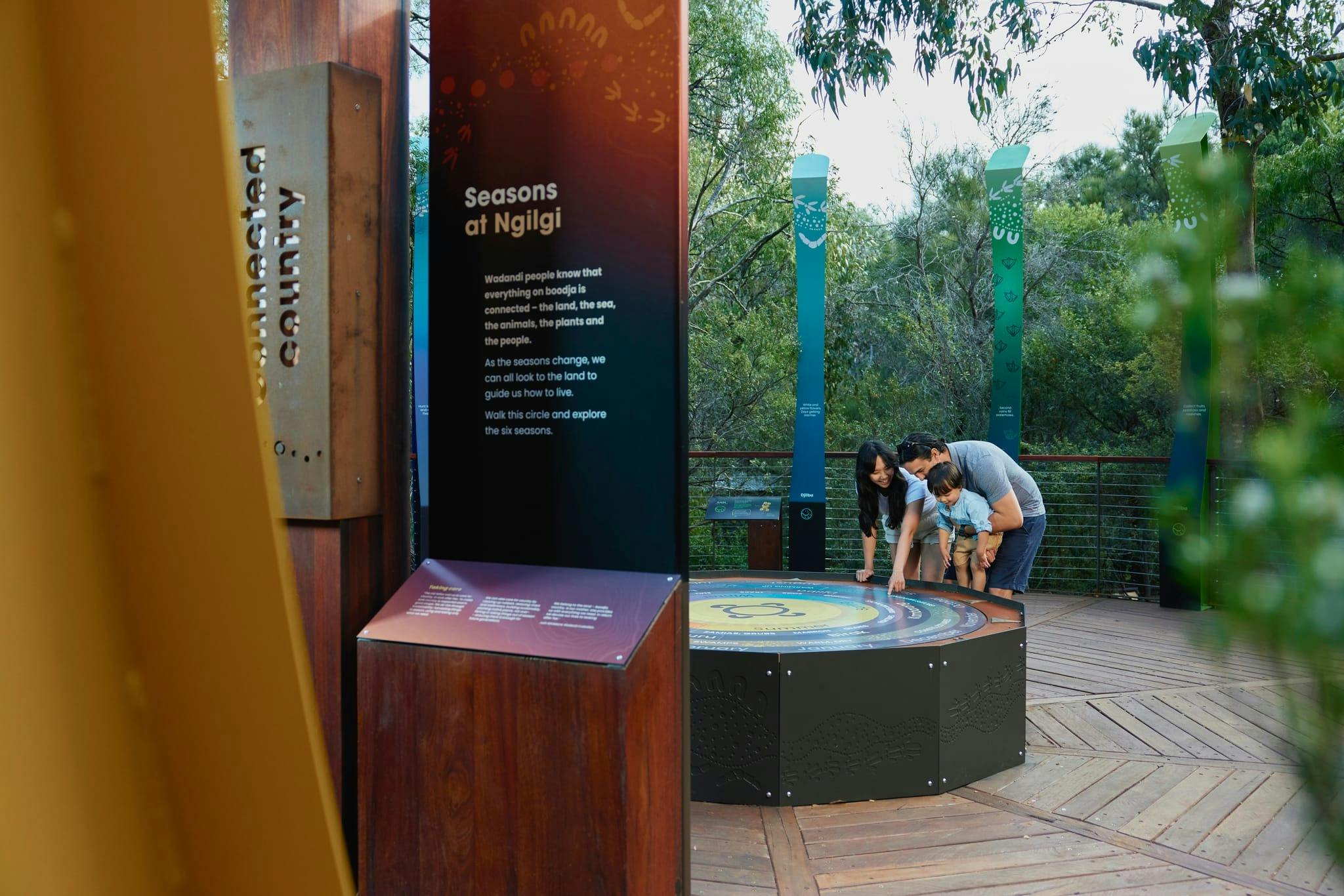 Above ground along the Ancient Lands Experience