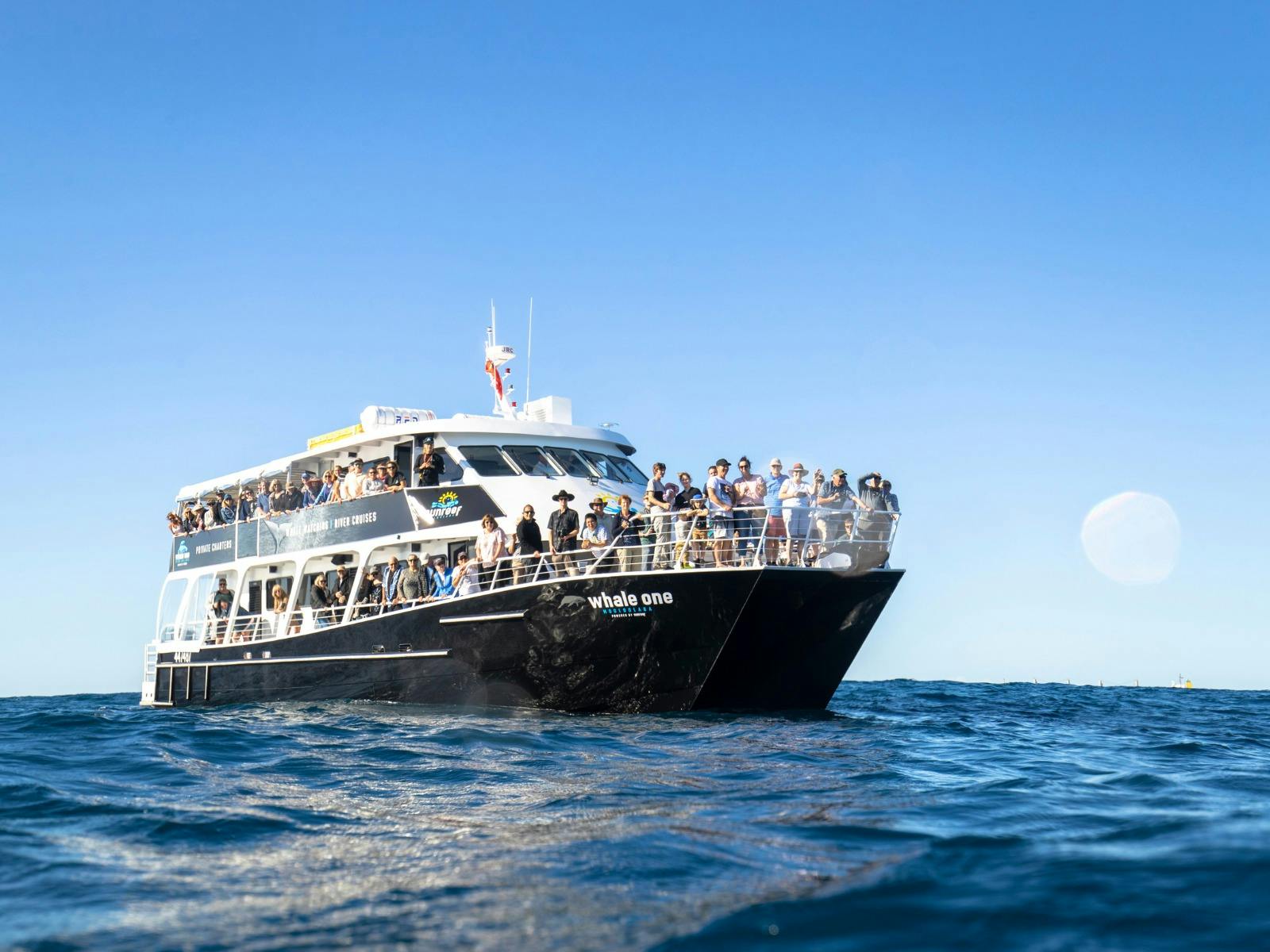 Whale Watching vessel at sea Whale Watching vessel at sea