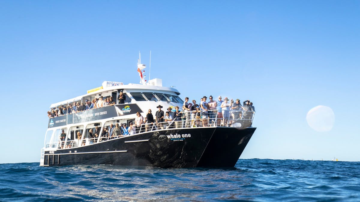 Whale Watching vessel at sea