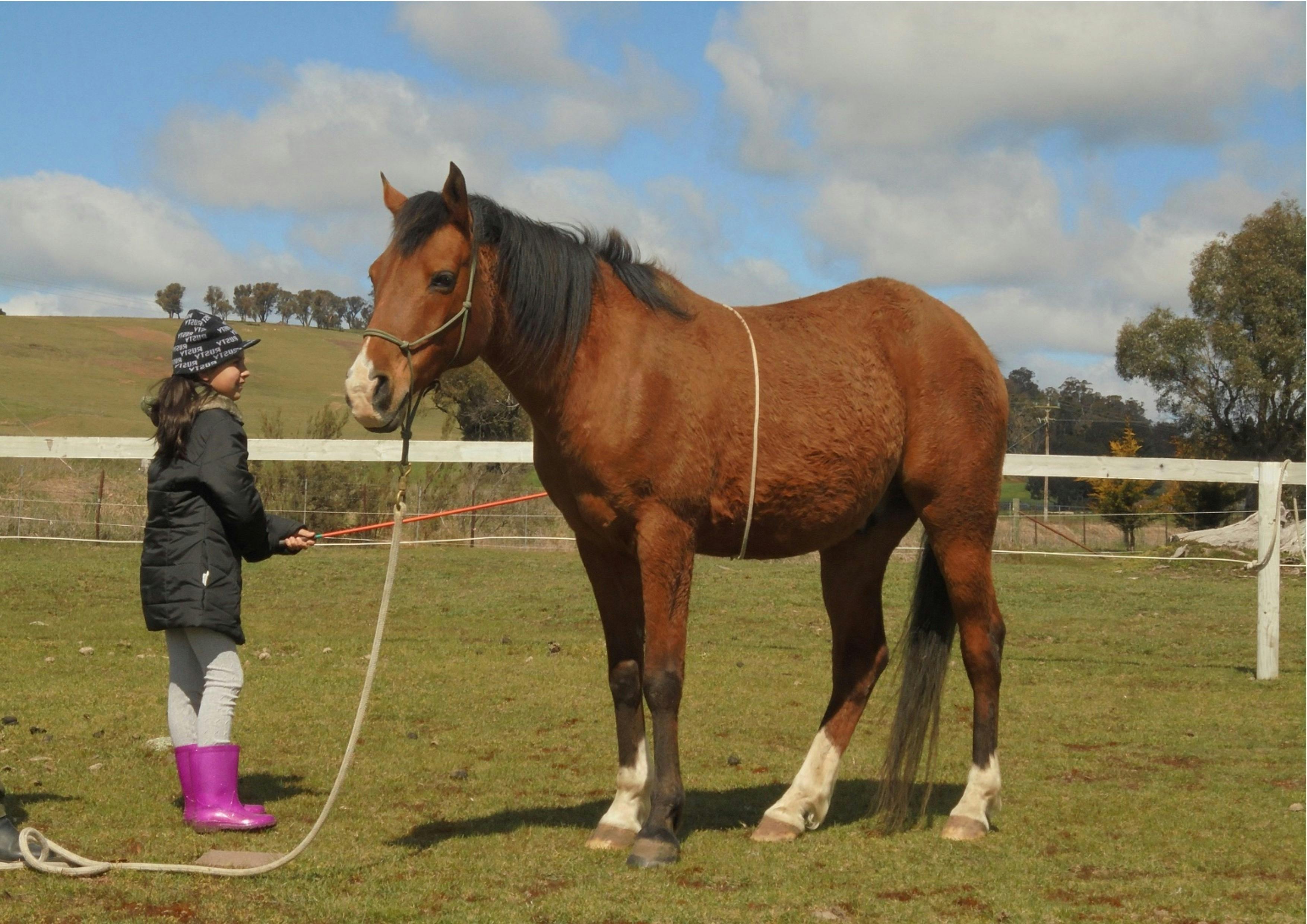 secured personal loans bad credit