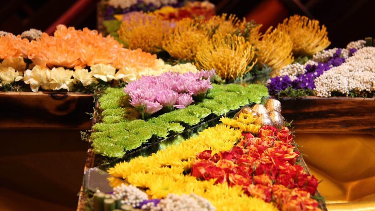 Floral Displays