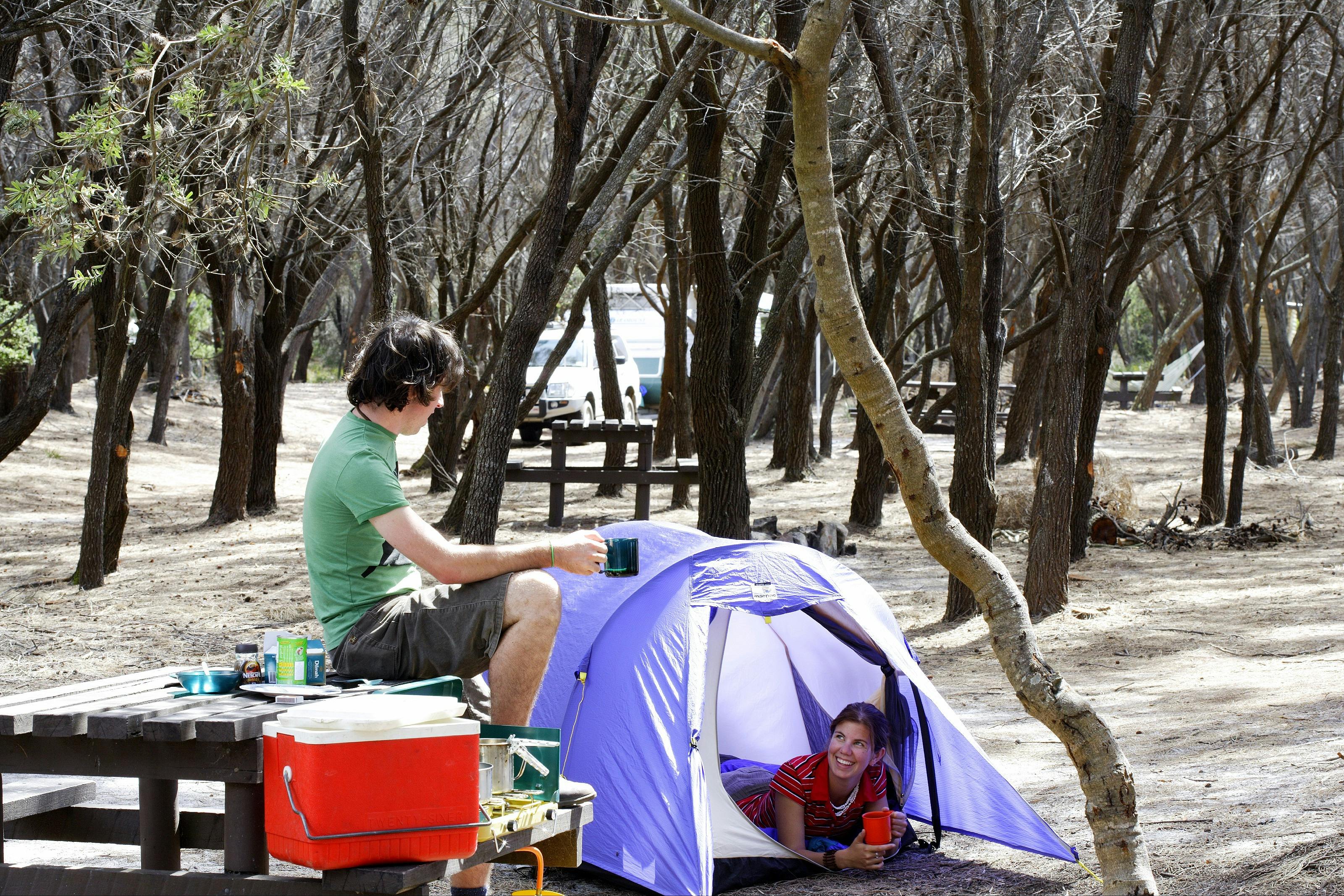 Stumpy's Bay Camping