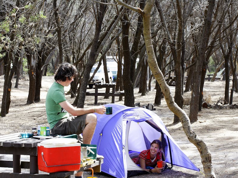 Stumpy's Bay Camping