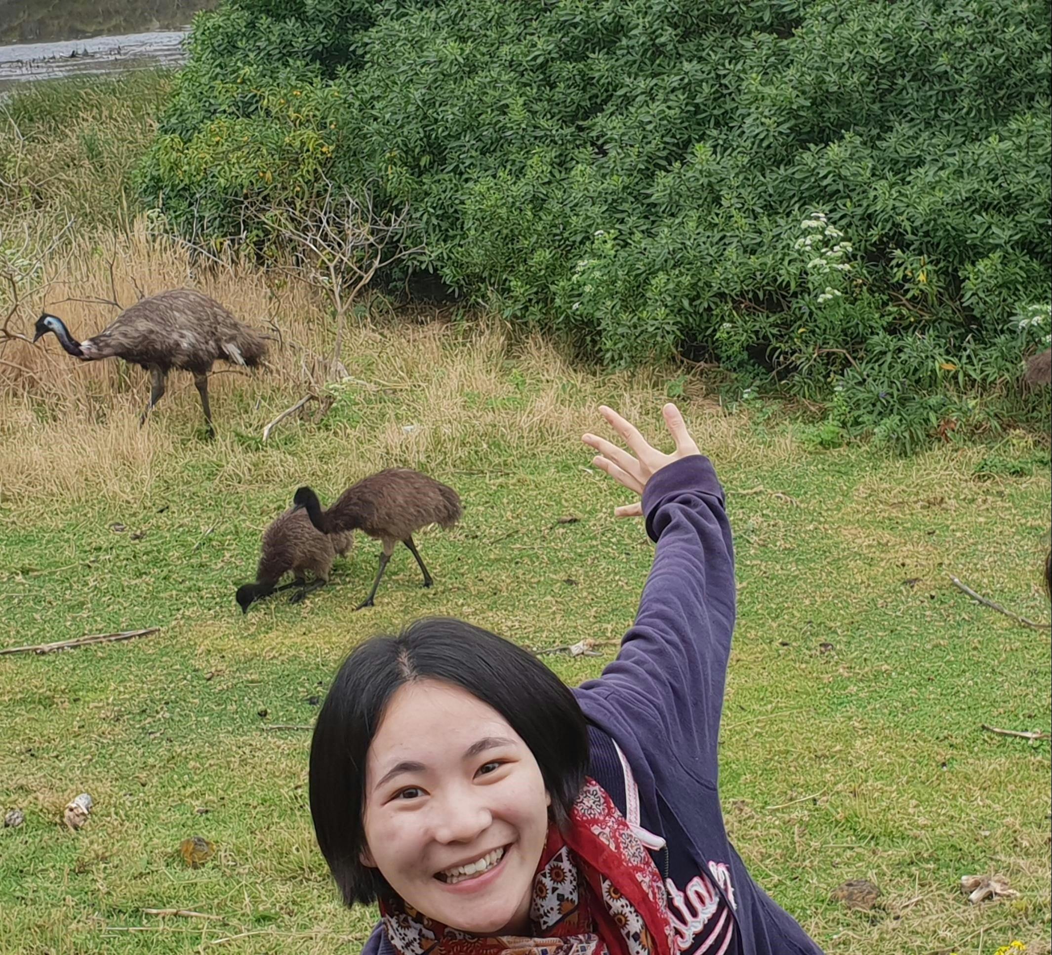 Close and personal with Emus at Tower Hill