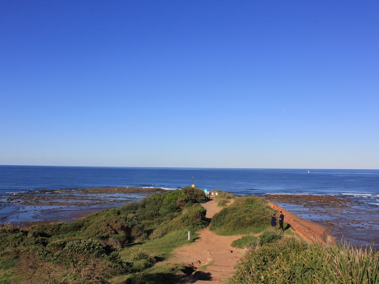 View From Long Reef Headland