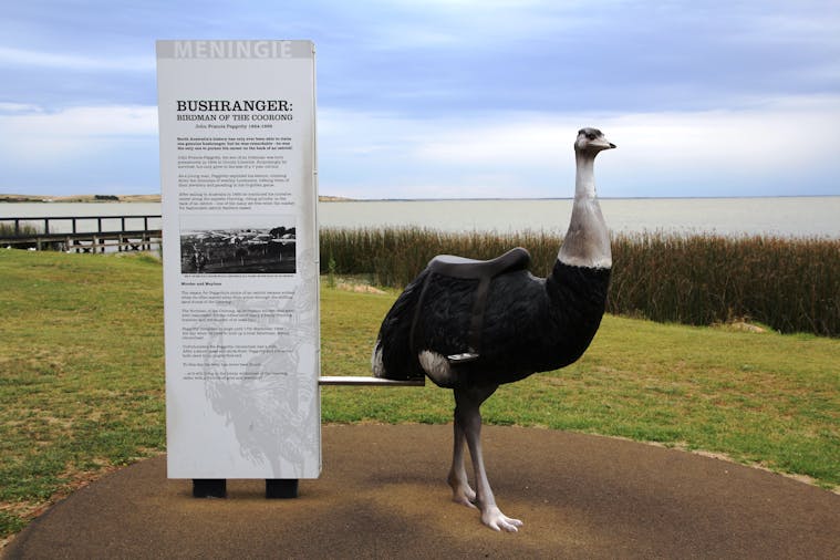 Bushranger Birdman of the Coorong