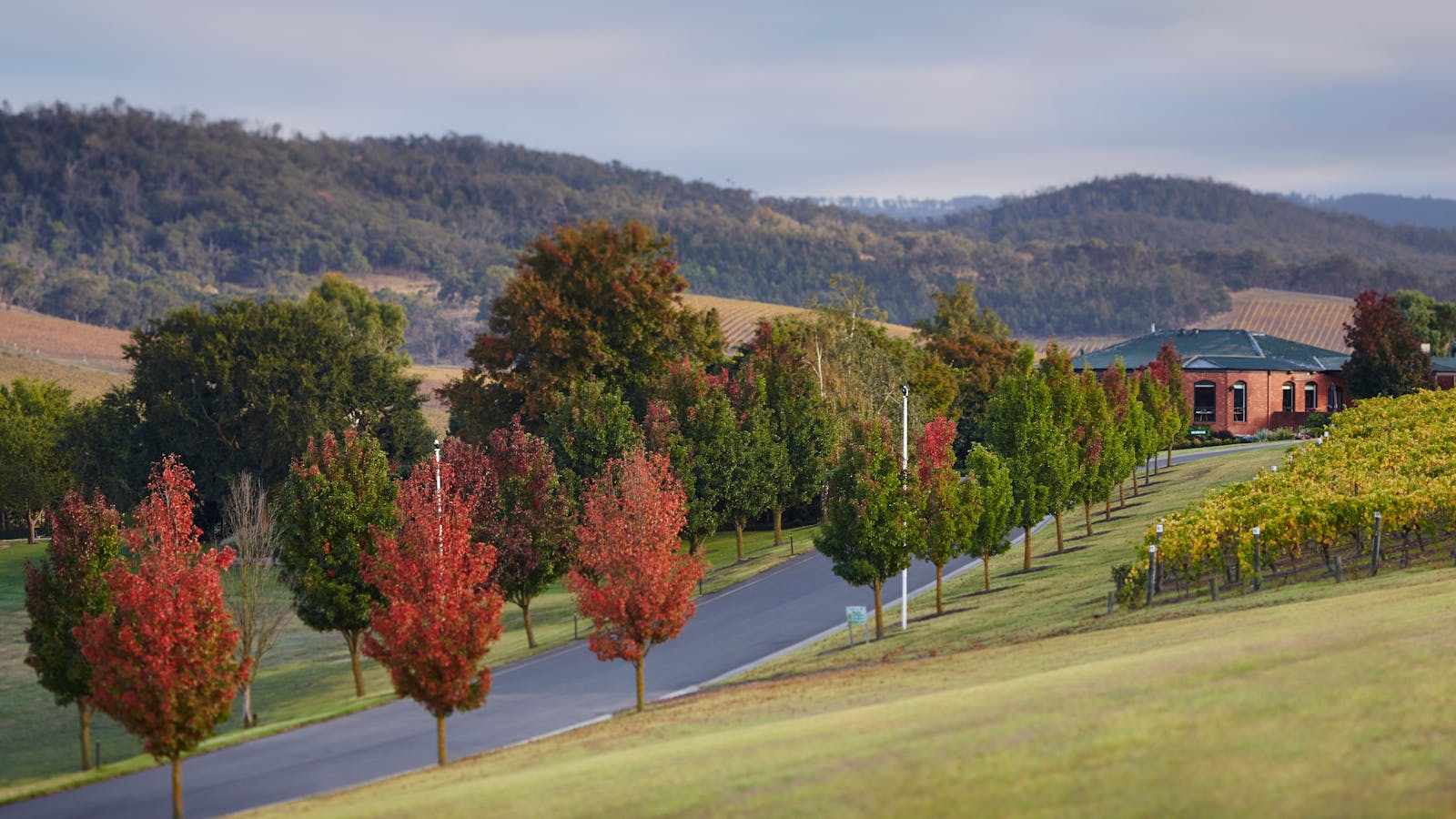 De Bortoli Yarra Valley Estate