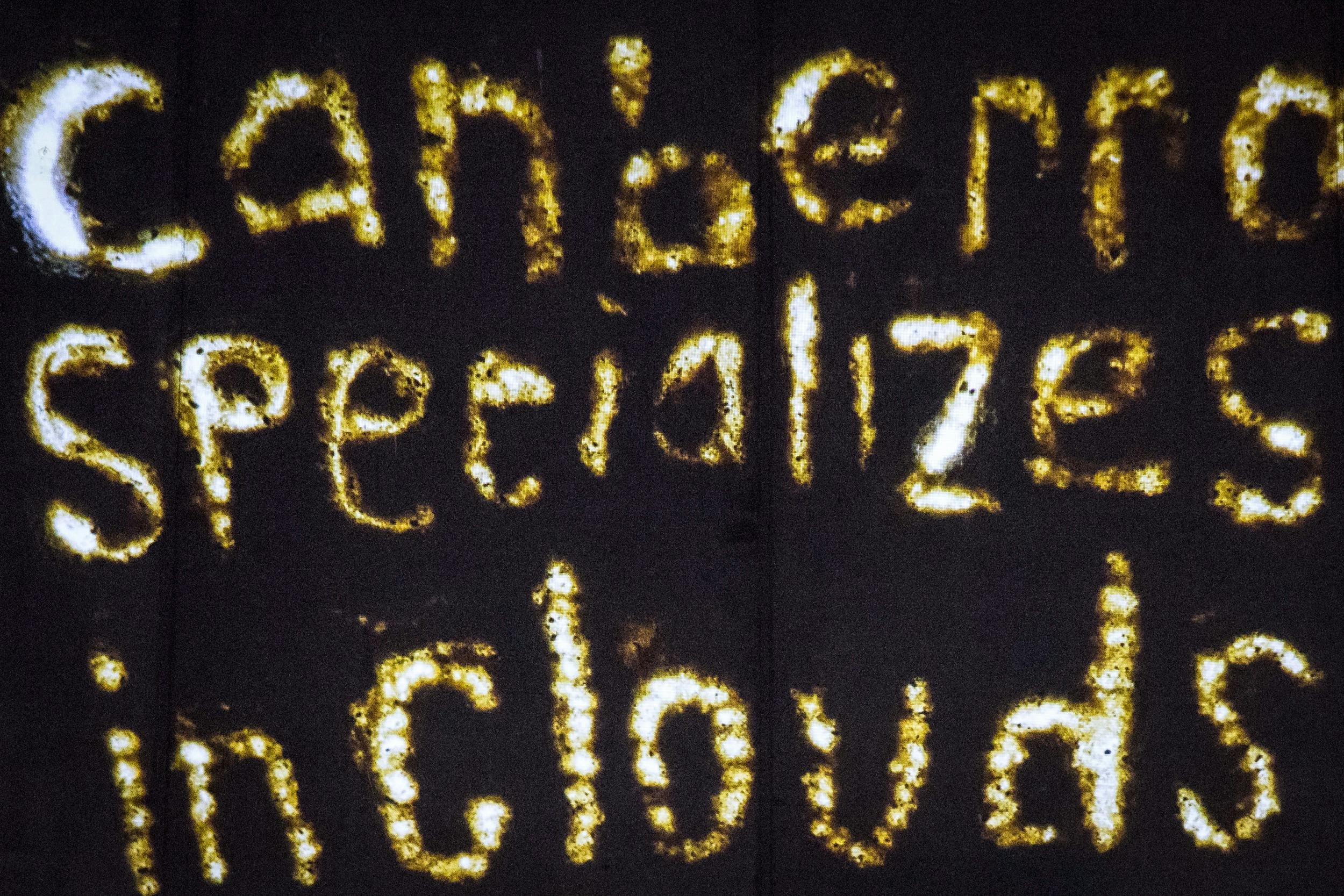Caroline Huff sand animation