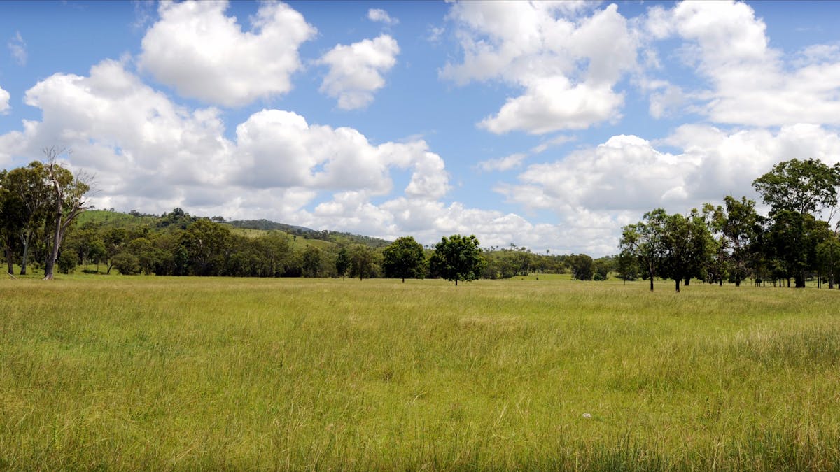 Ubobo - Boyne Valley
