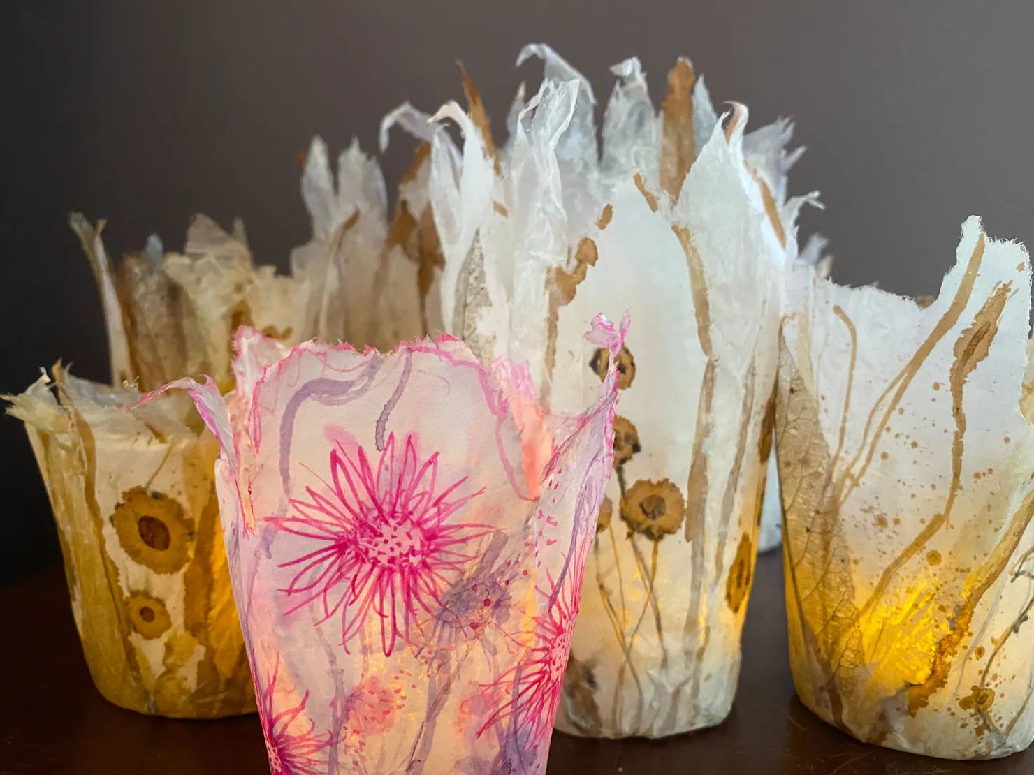 Paper Lanterns Dr Sue Davis