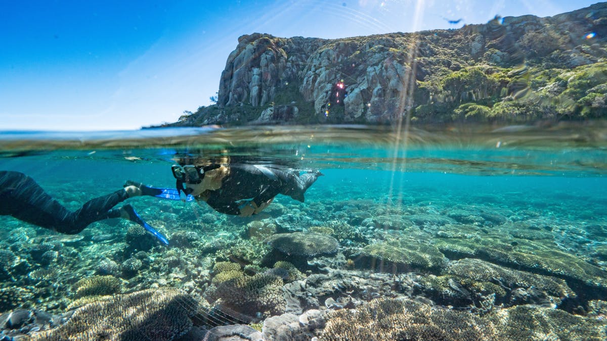 Snorkelling with the beautiful fringing reefs & marine life.