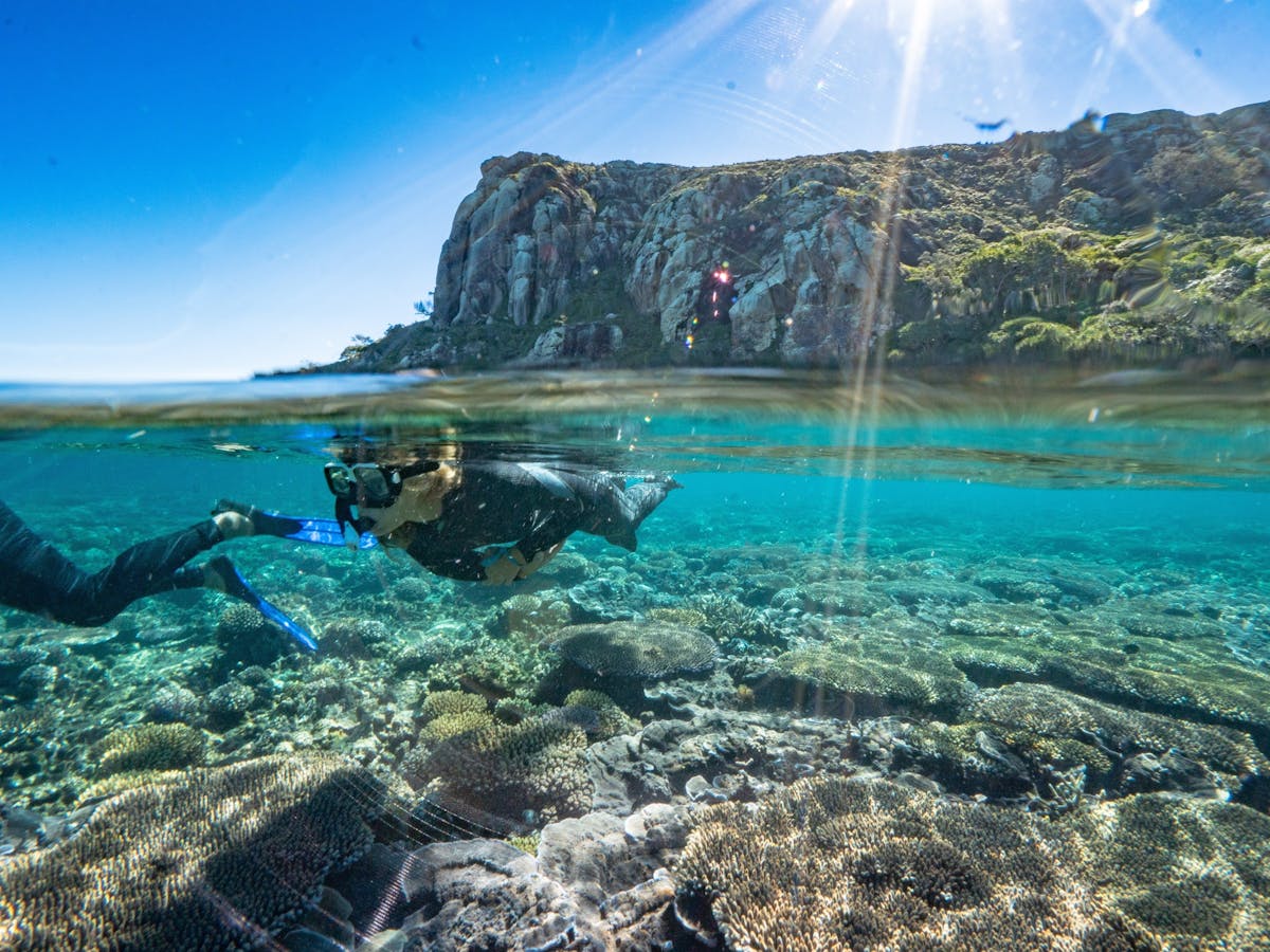 Snorkelling with the beautiful fringing reefs & marine life.
