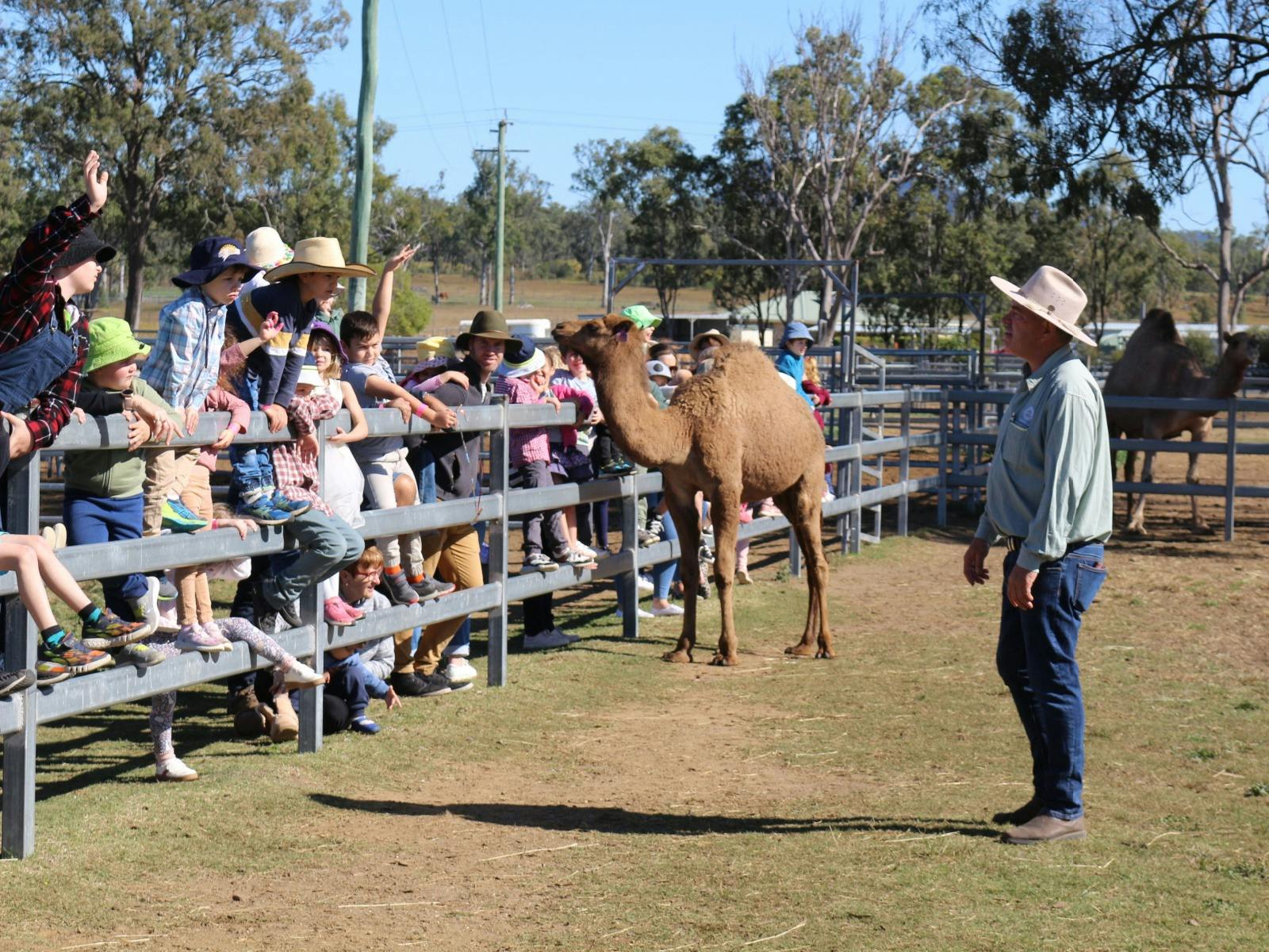 Kid's Camel Farm Adventure
