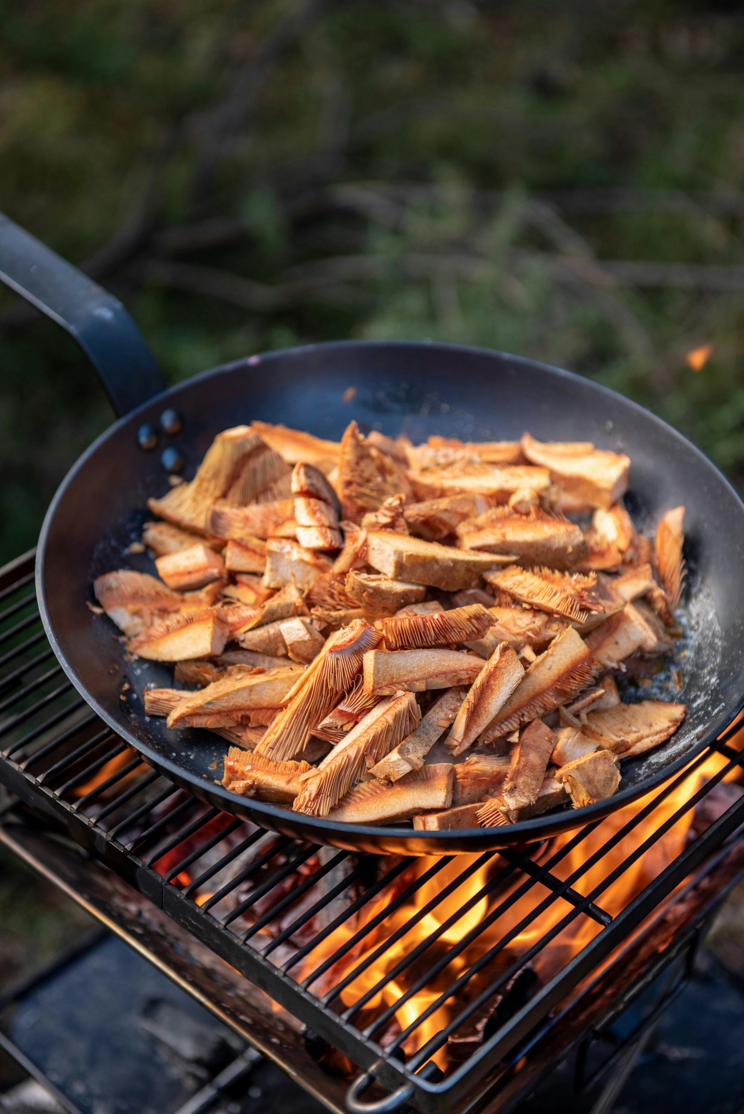 Mushroom Foraging Workshops