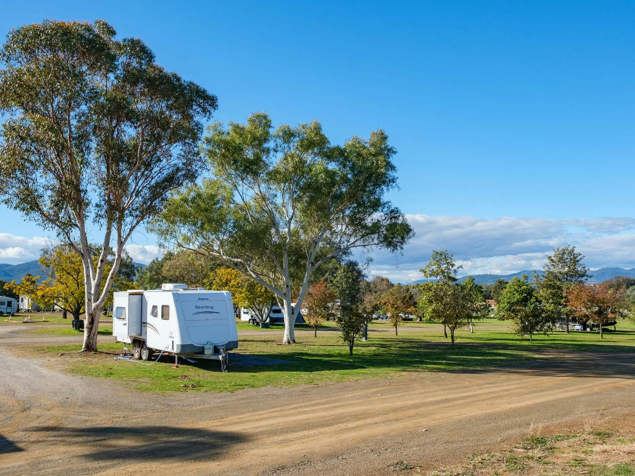 Spacious caravan site at Tamworth Holiday Park surrounded by trees and open grassy areas under a cle