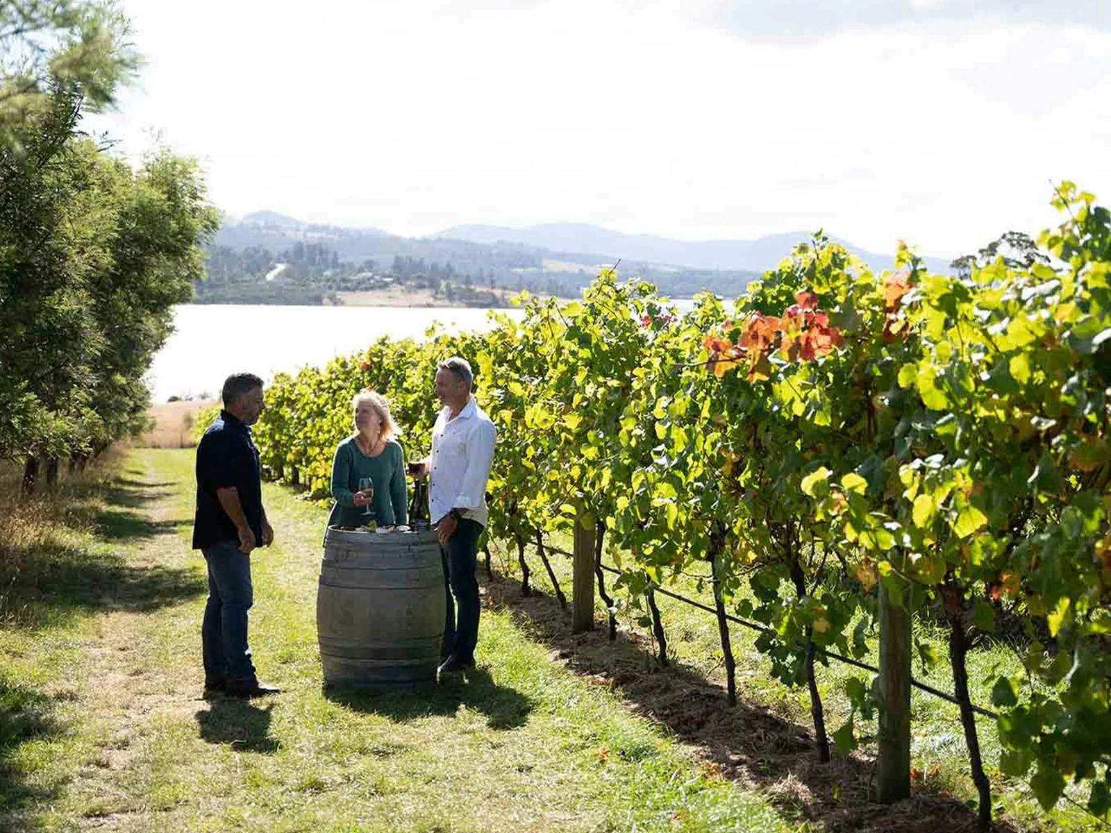tasmania wineyards