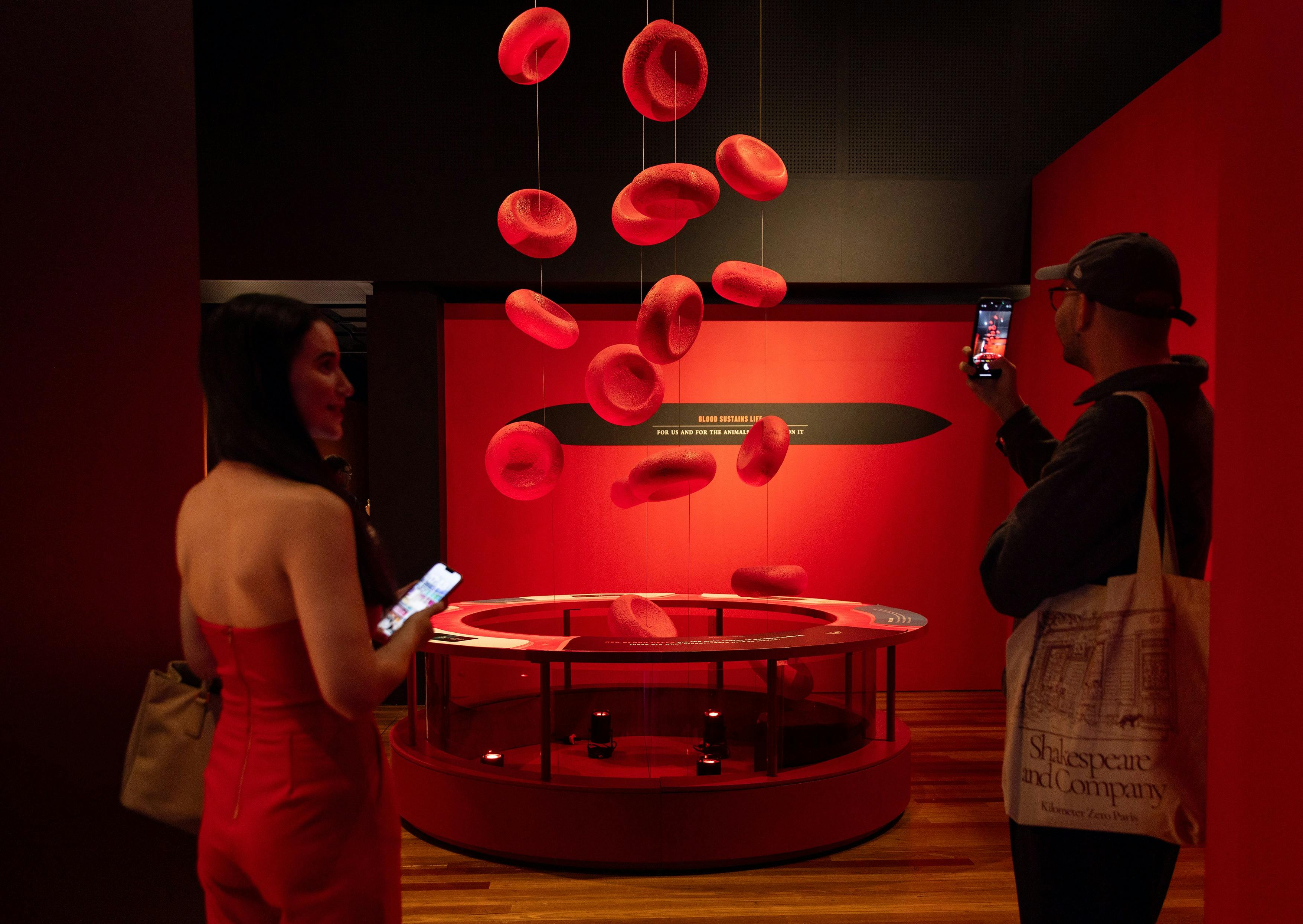 Bloodsuckers Exhibition