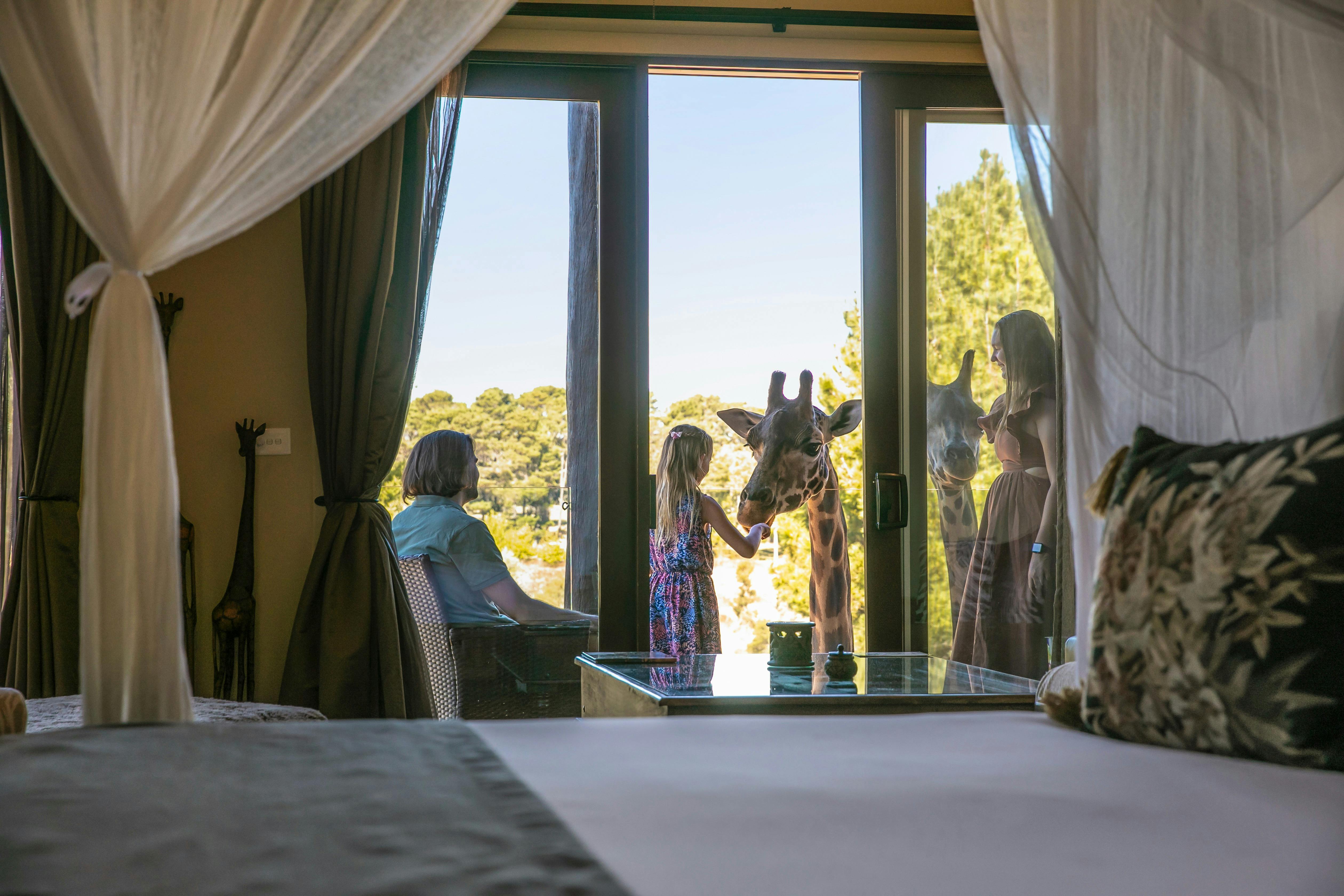 Family feeding the giraffes from their balcony in the Giraffe Treehouse