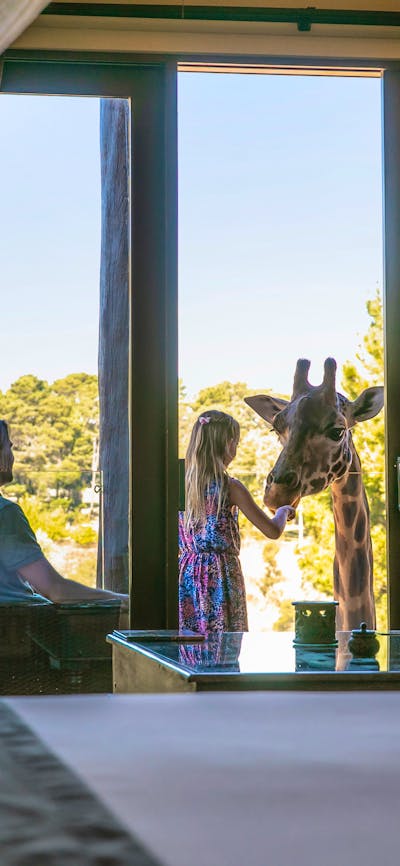 Family feeding the giraffes from their balcony in the Giraffe Treehouse