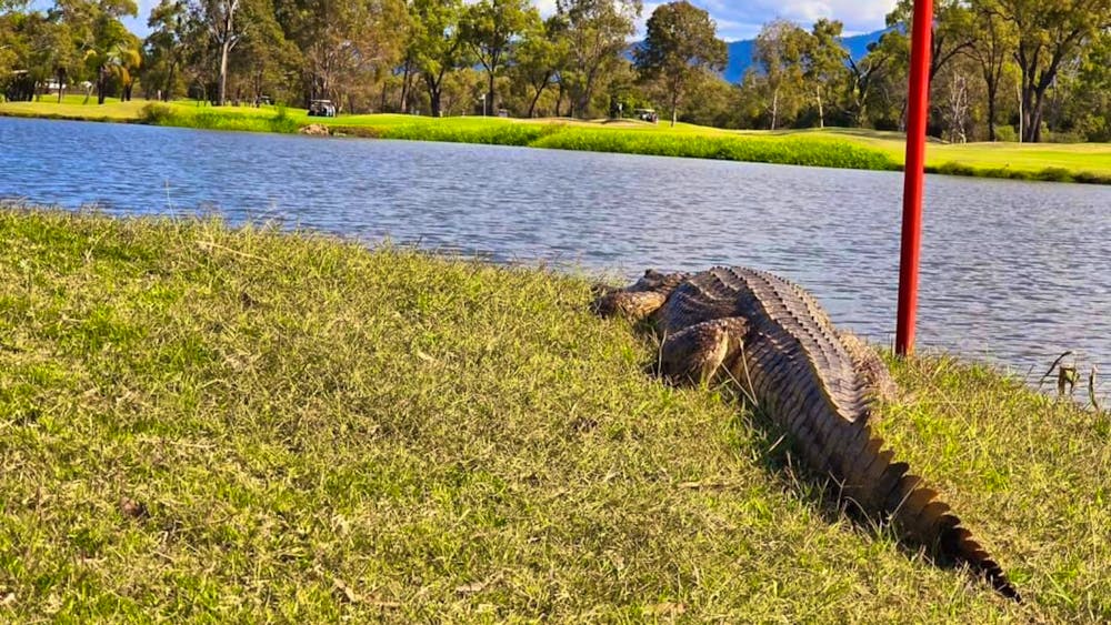 Tropics Golf Club