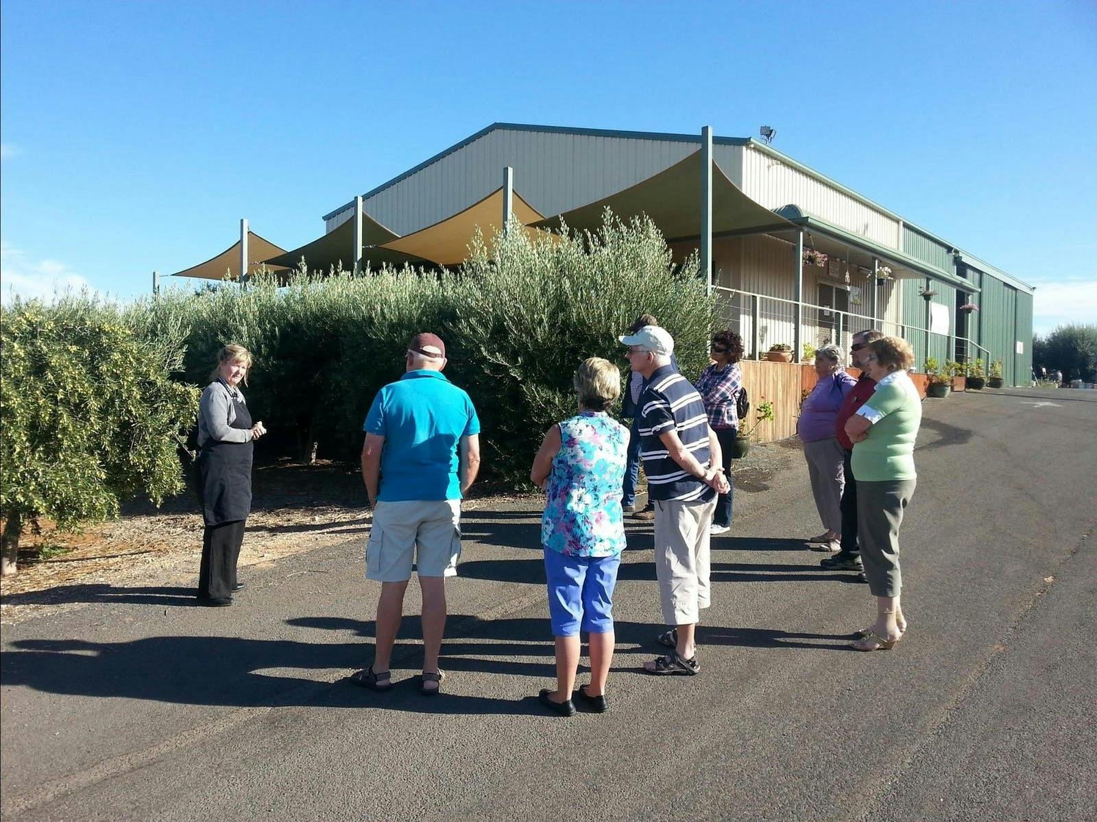 Varapodio Estate Oilve Oil Tours