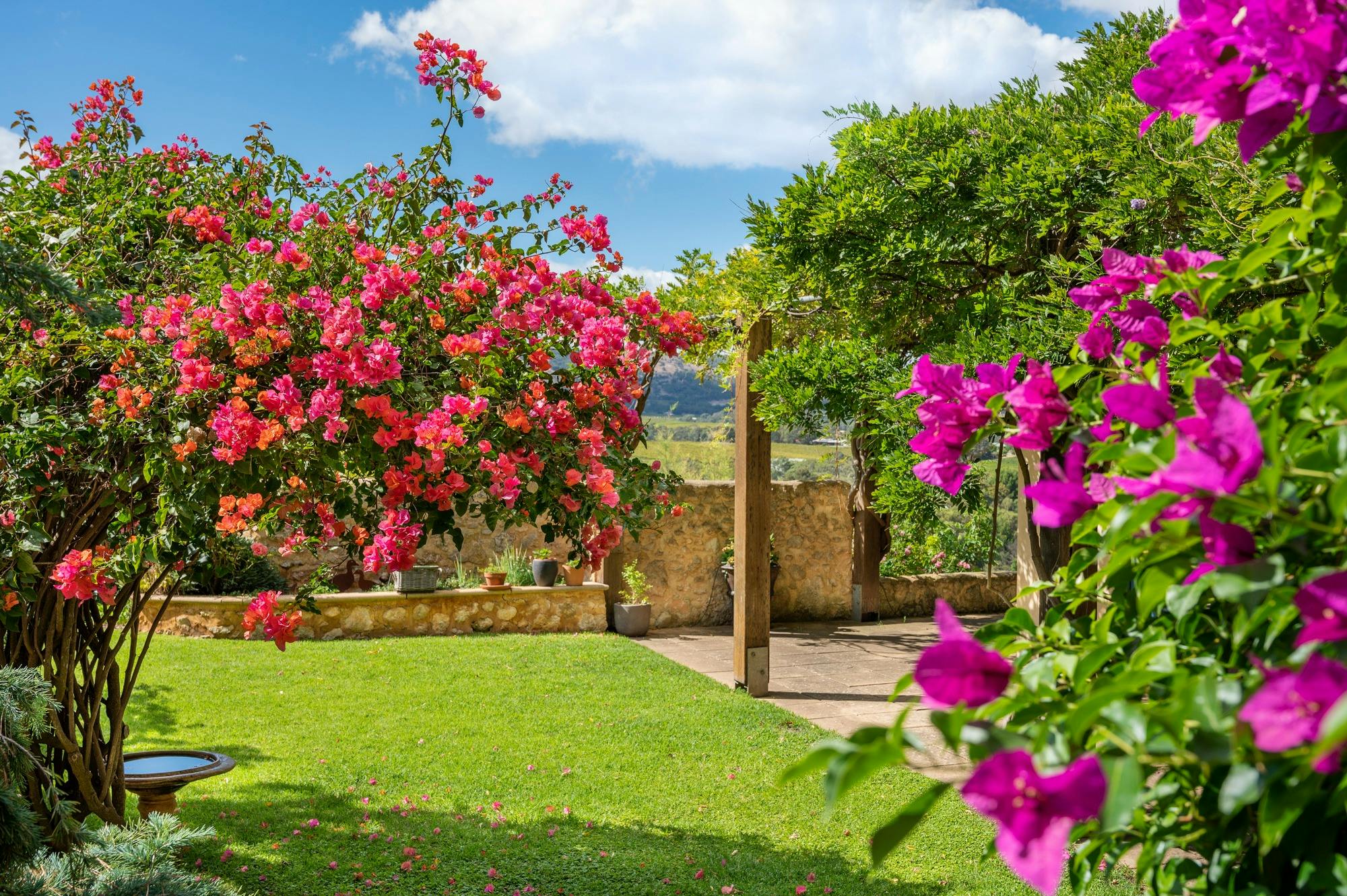 TH Garden 2