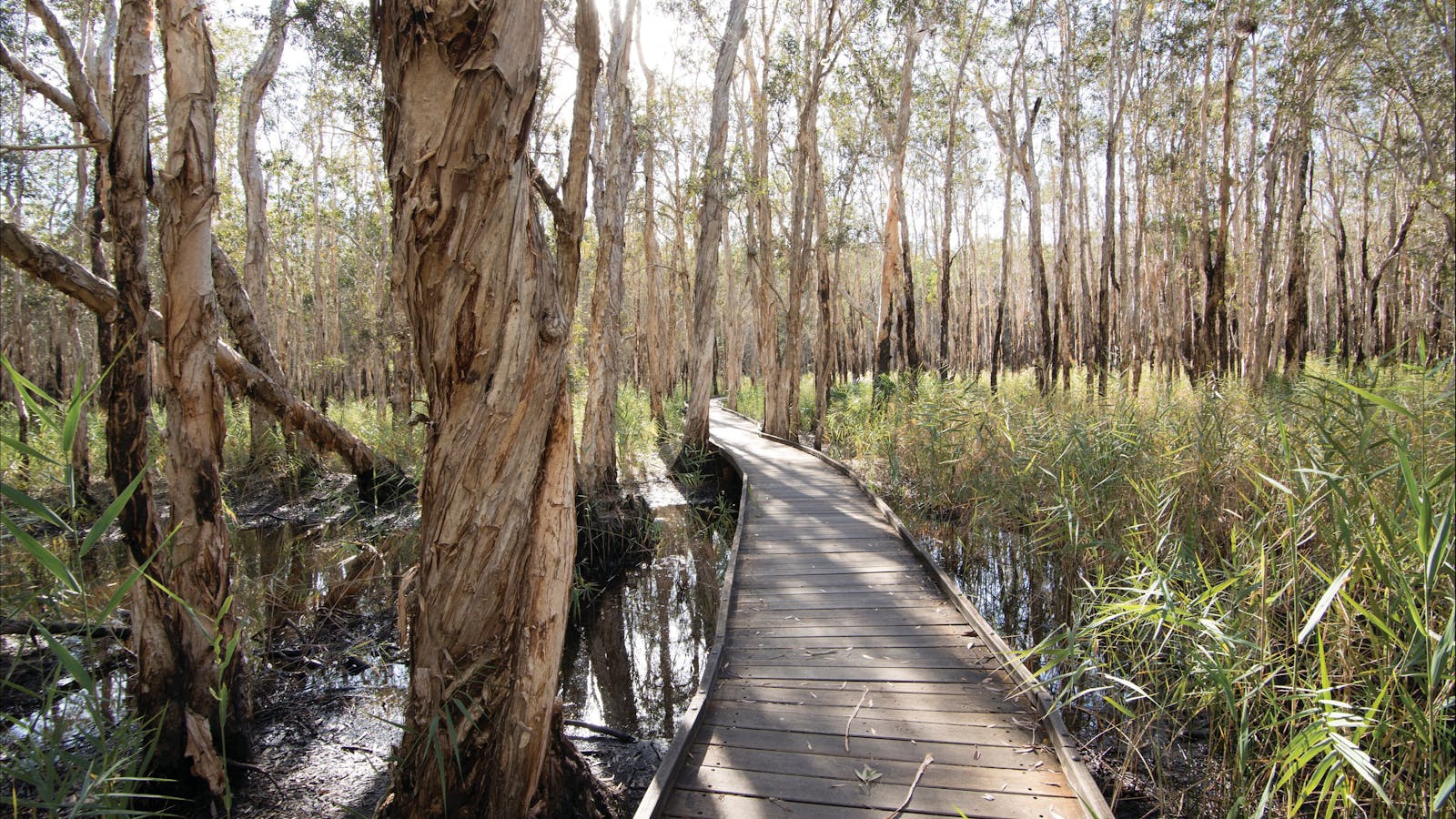Burrum Coast National Park