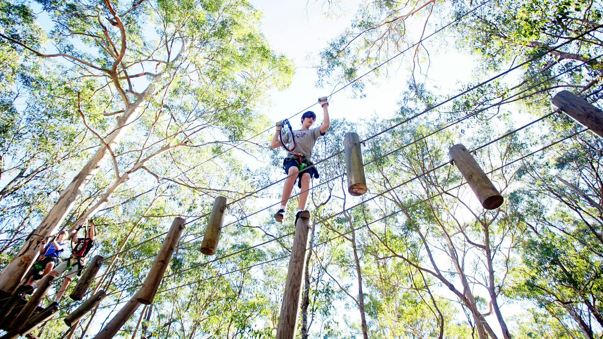 Suspended Logs will test your nerves!