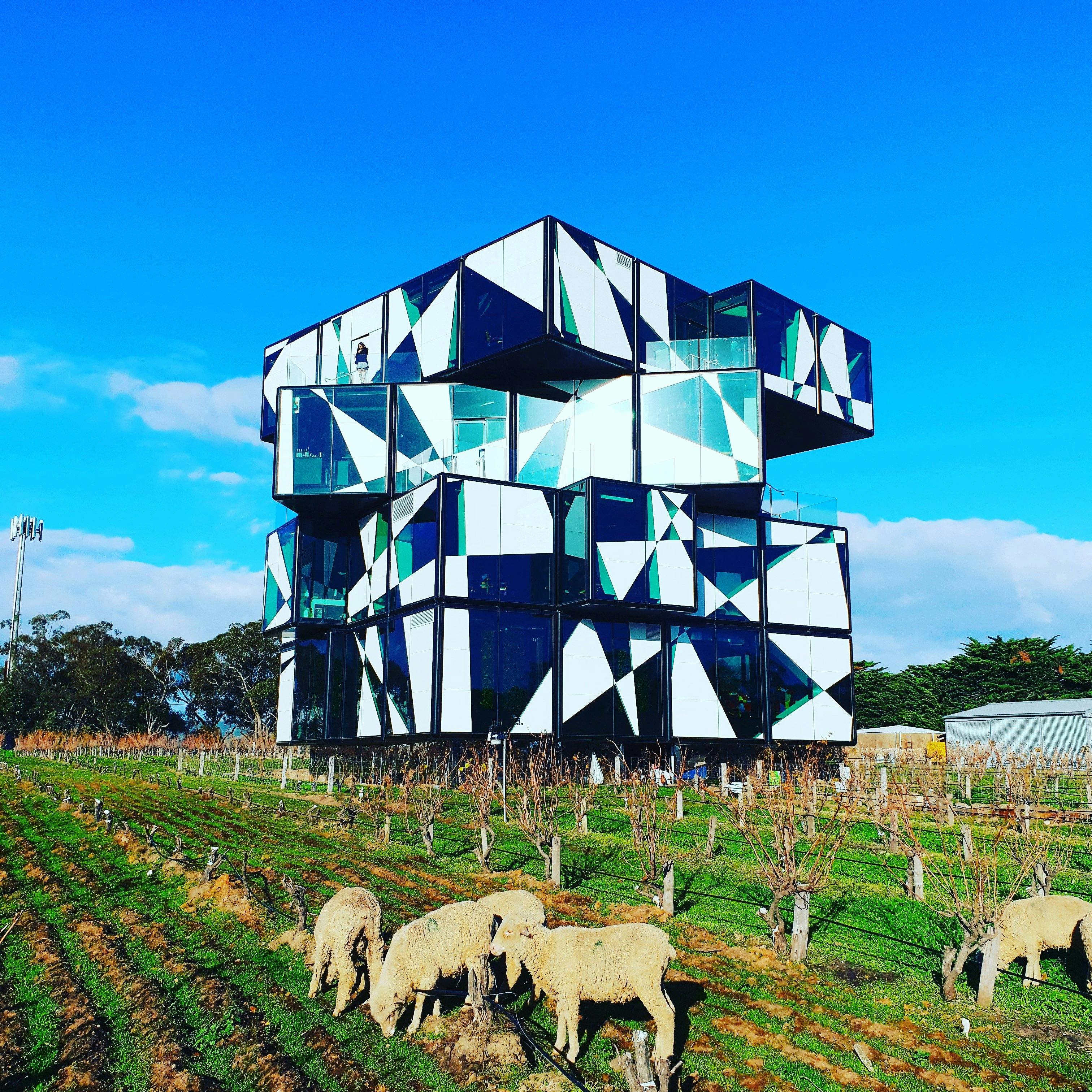 d'Arenberg Cube