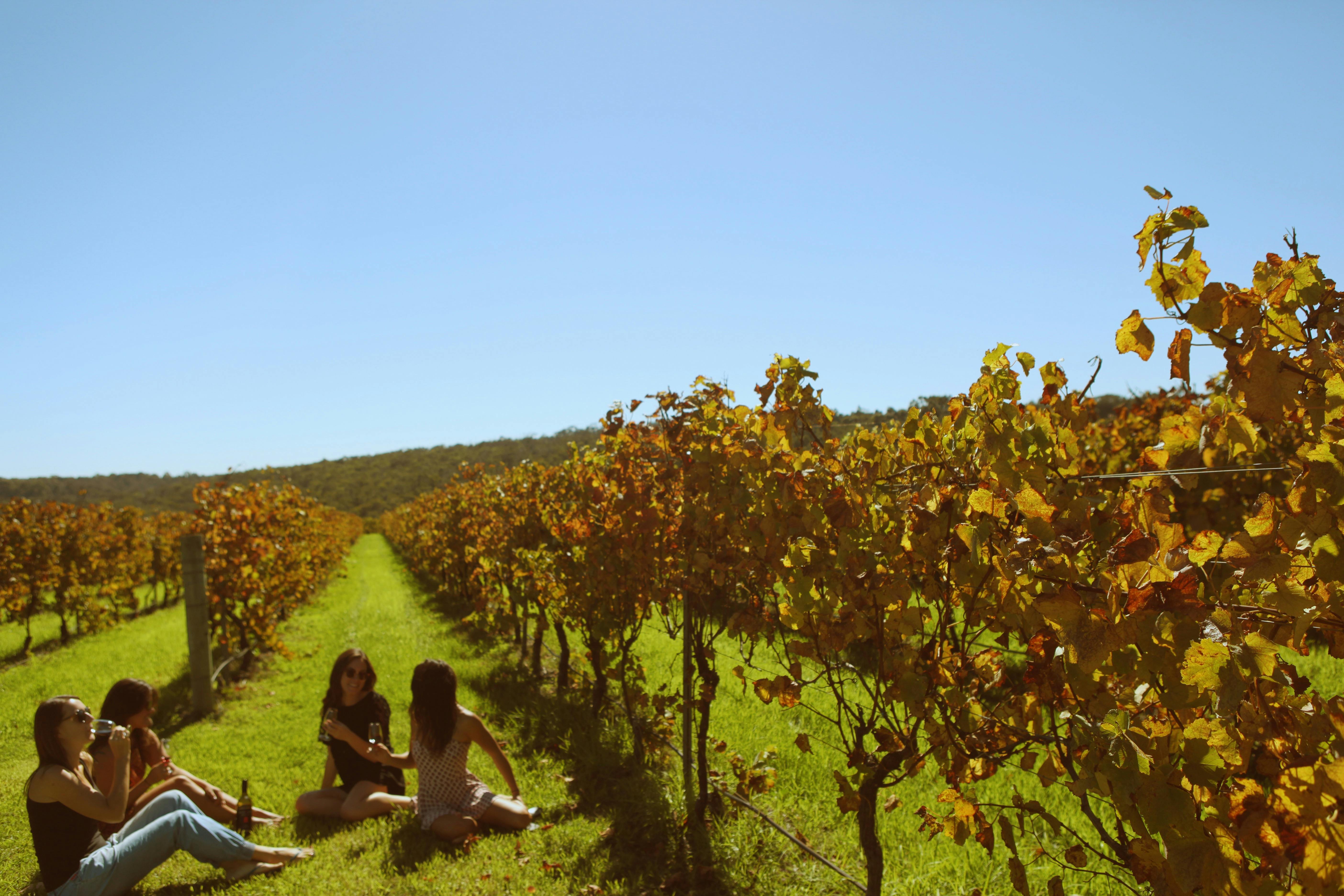 Surf N' Dirt Adventure Tours, Margaret River, Western Australia