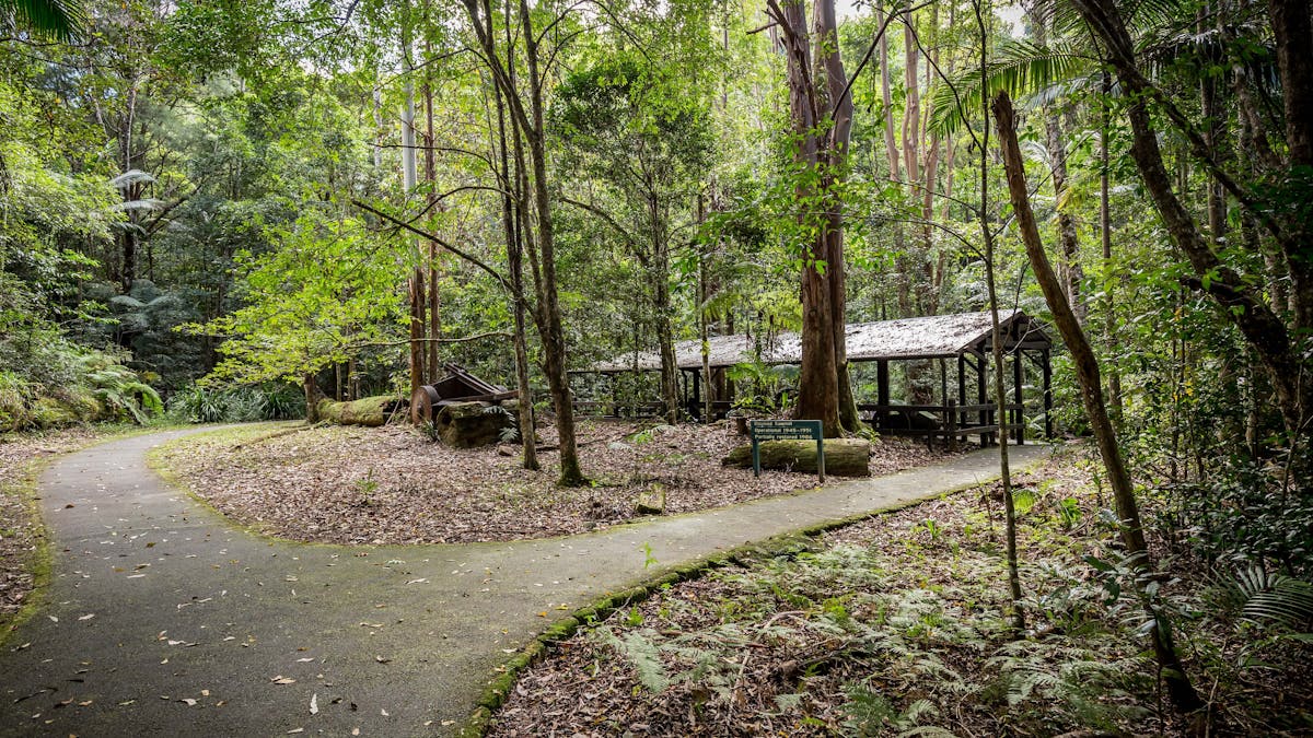 Historical sawmill in the background with a bitumen path around it.
