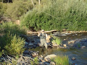 Fly Fishing Tumut
