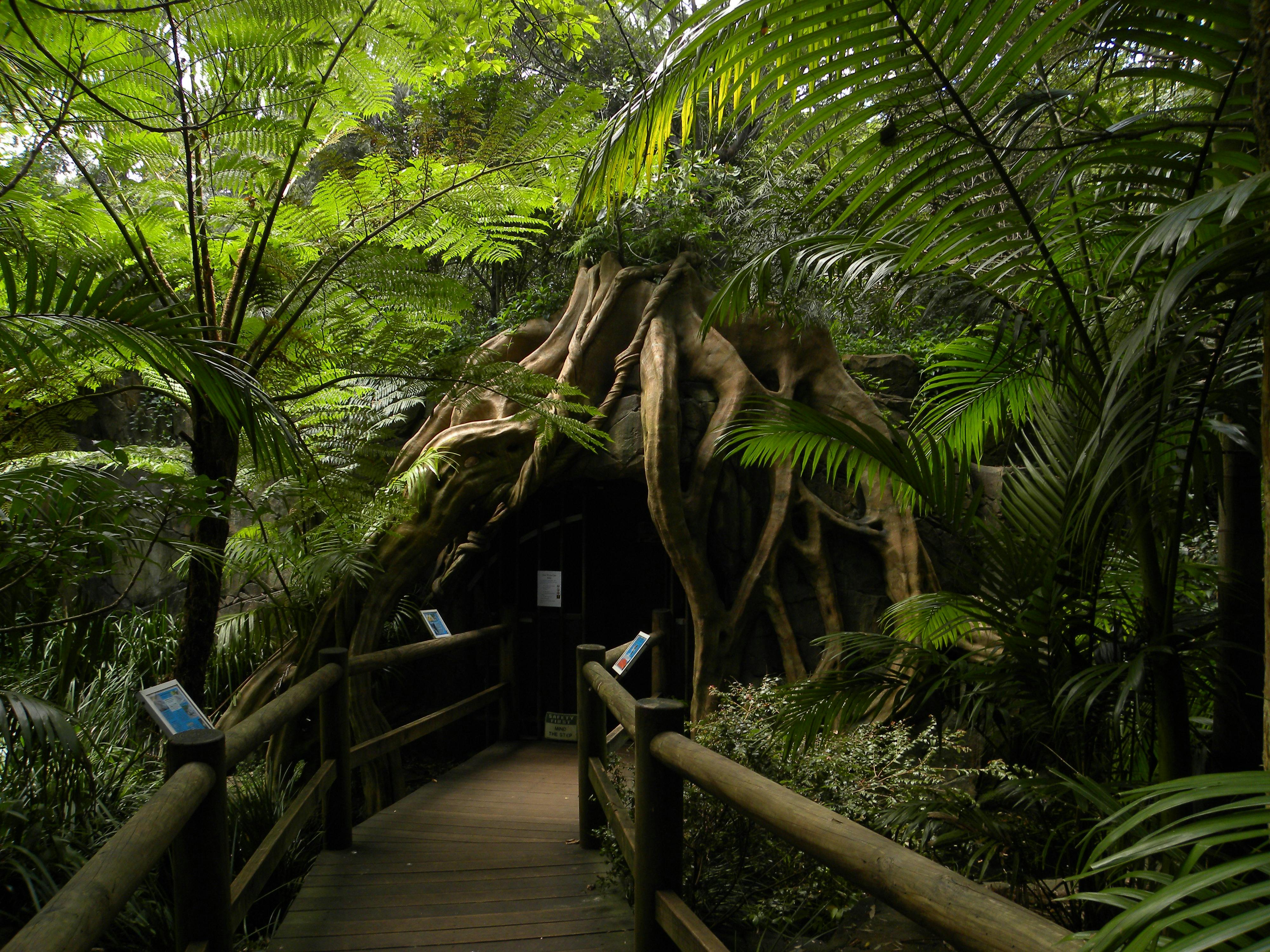Glow worms cave