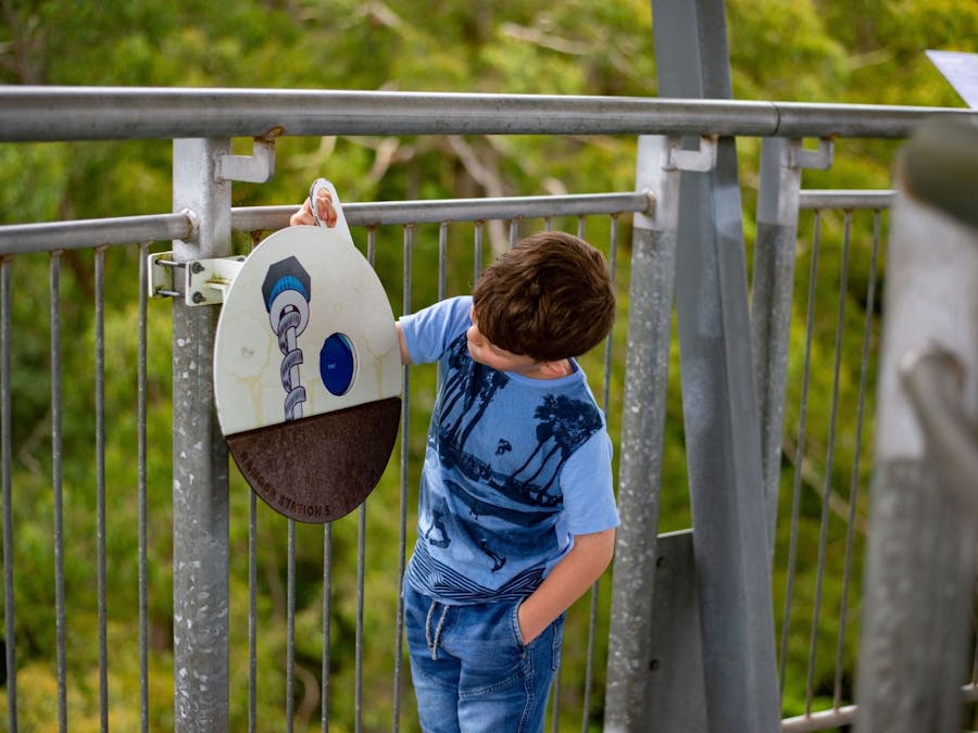 Junior Forest Ranger at Illawarra Fly Treetop Adventures