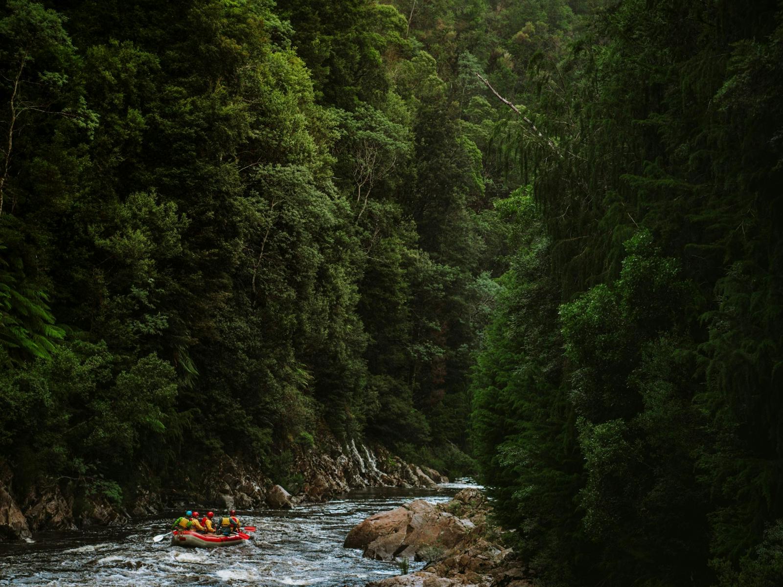Raft with people on the King River, Tasmania