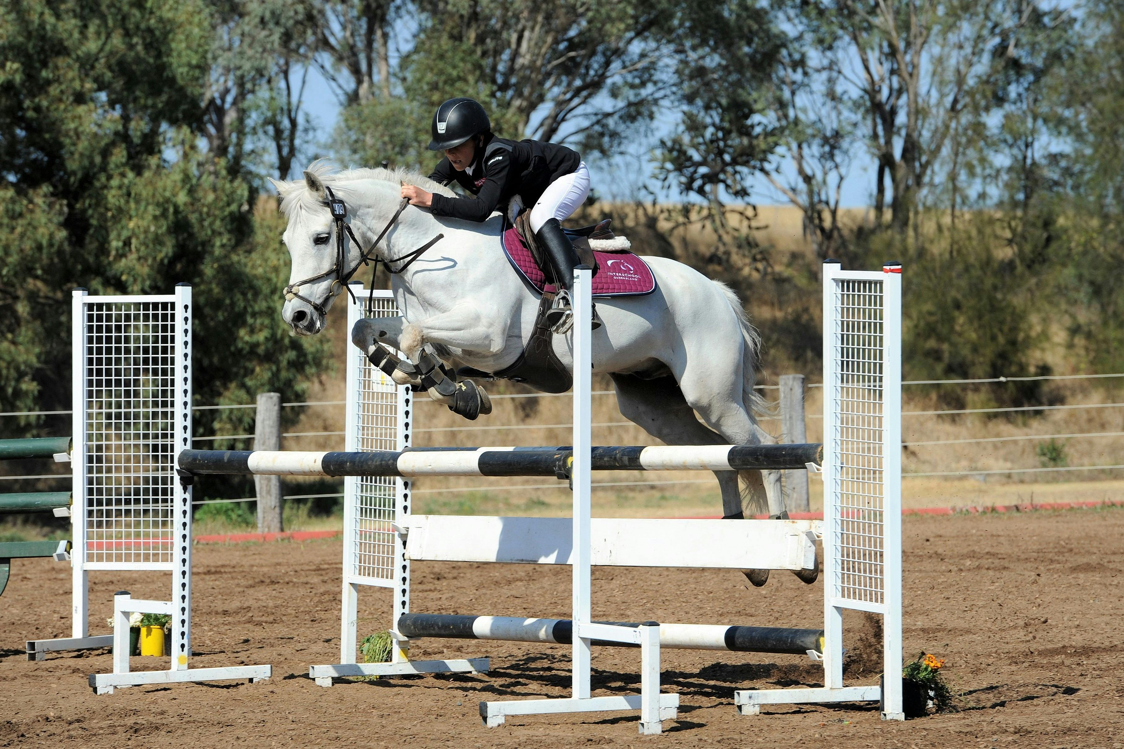 Gold Coast Equestrian Centre