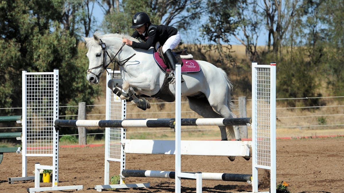 Teaching Show Jumping