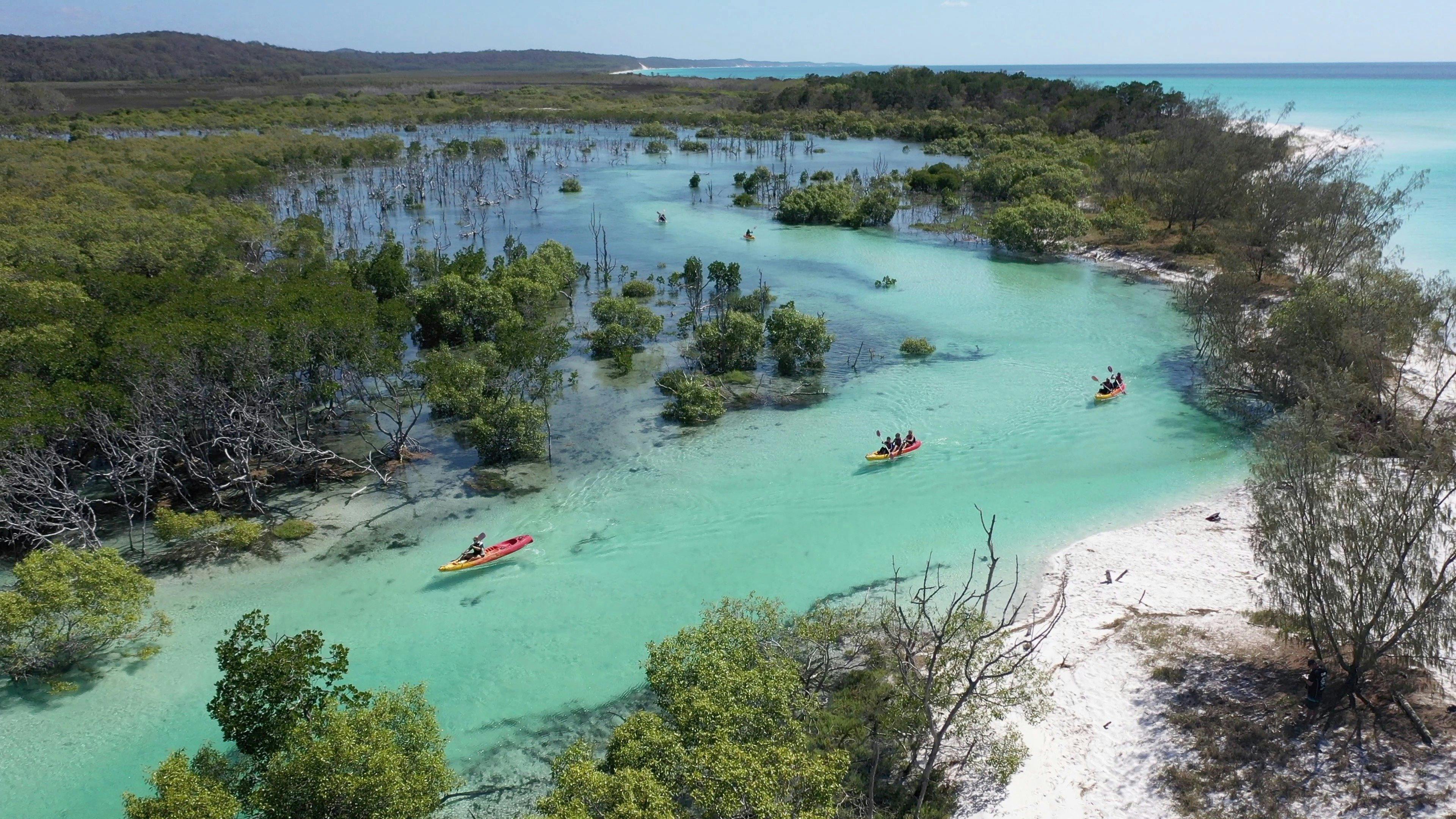 Remote Fraser Island Tour Tasman Venture Australia's Nature Coast