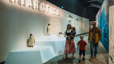 Young family walking together in front of a penguin display.