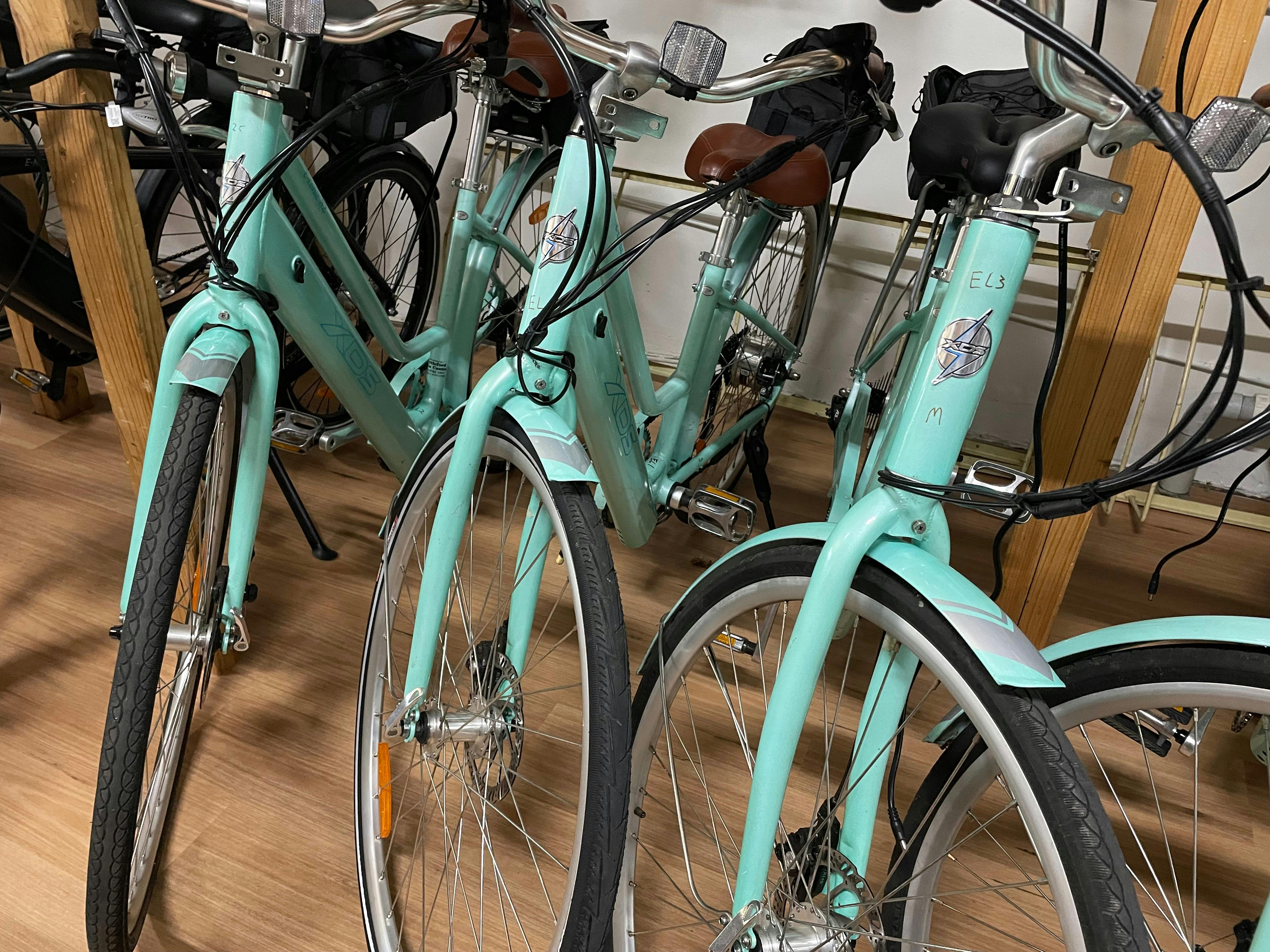 Electric hire bikes