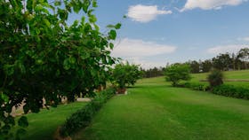 Moorebank Vineyard