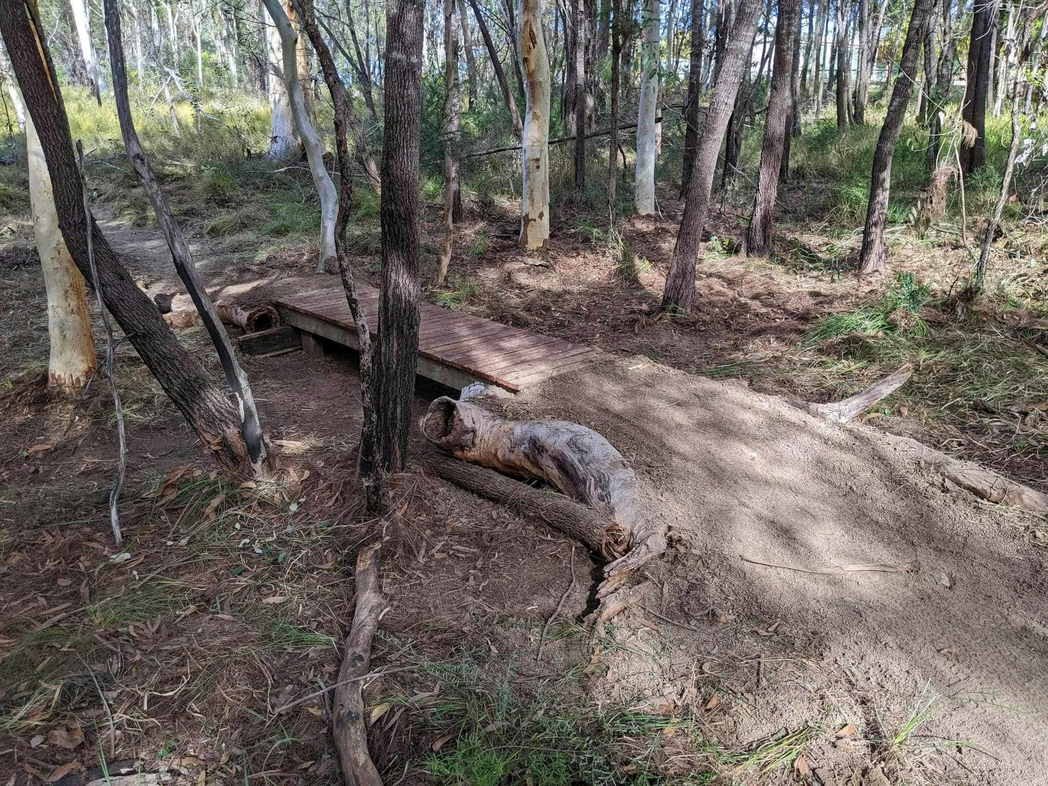 Chicks In The Sticks