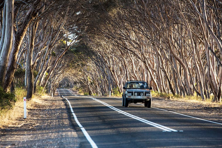 Explore Kangaroo Island in your Own Car over Three Days