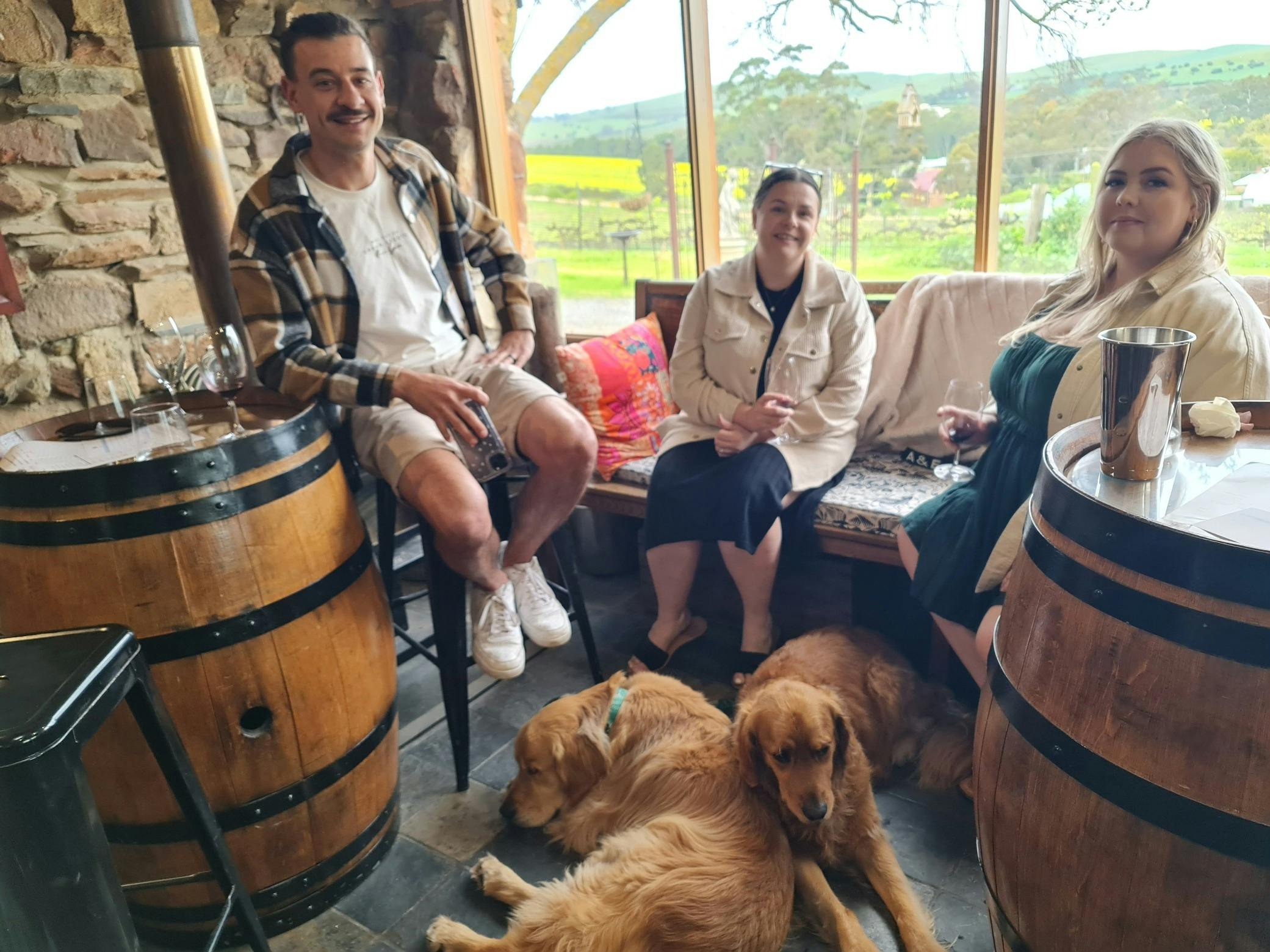 Let the Dogs Come Too