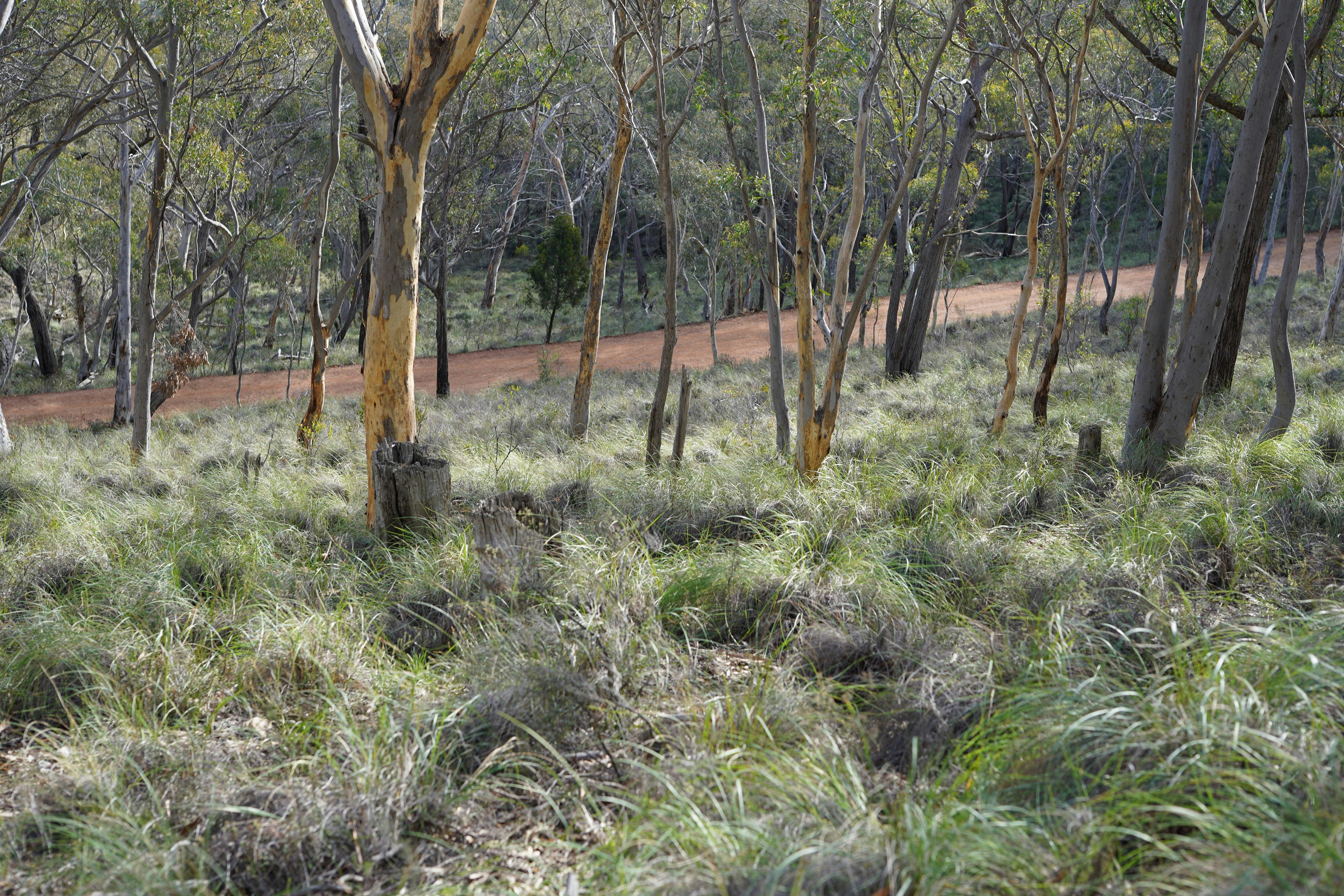 jerrabomberra mountain