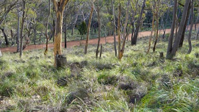 jerrabomberra mountain